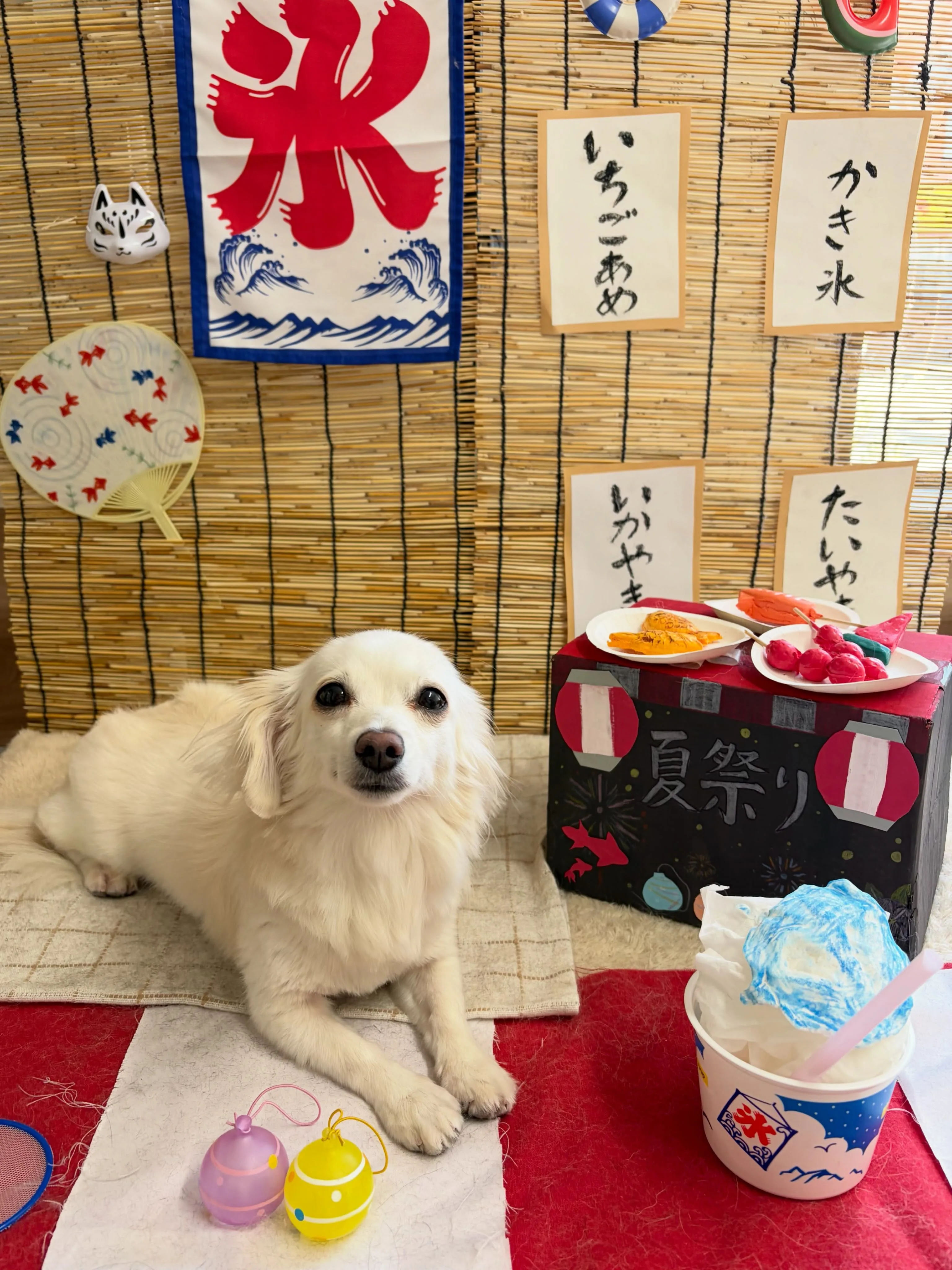 🍃8/11のトリミング🍃ミックス犬🐶｜名東区・千種区・守山区...