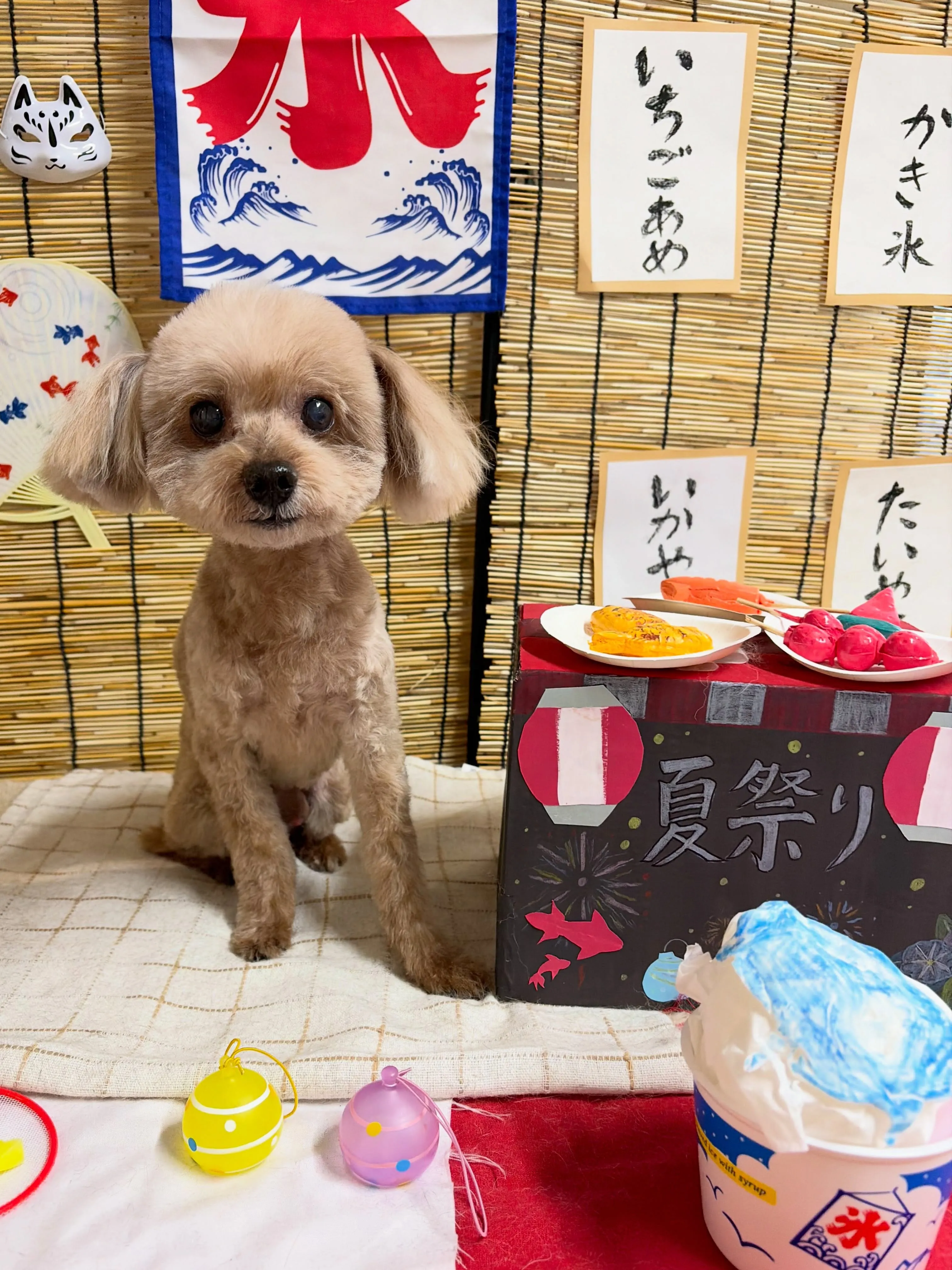 🍃8/14のトリミング🍃プードル🐶｜名東区・千種区・守山区の...