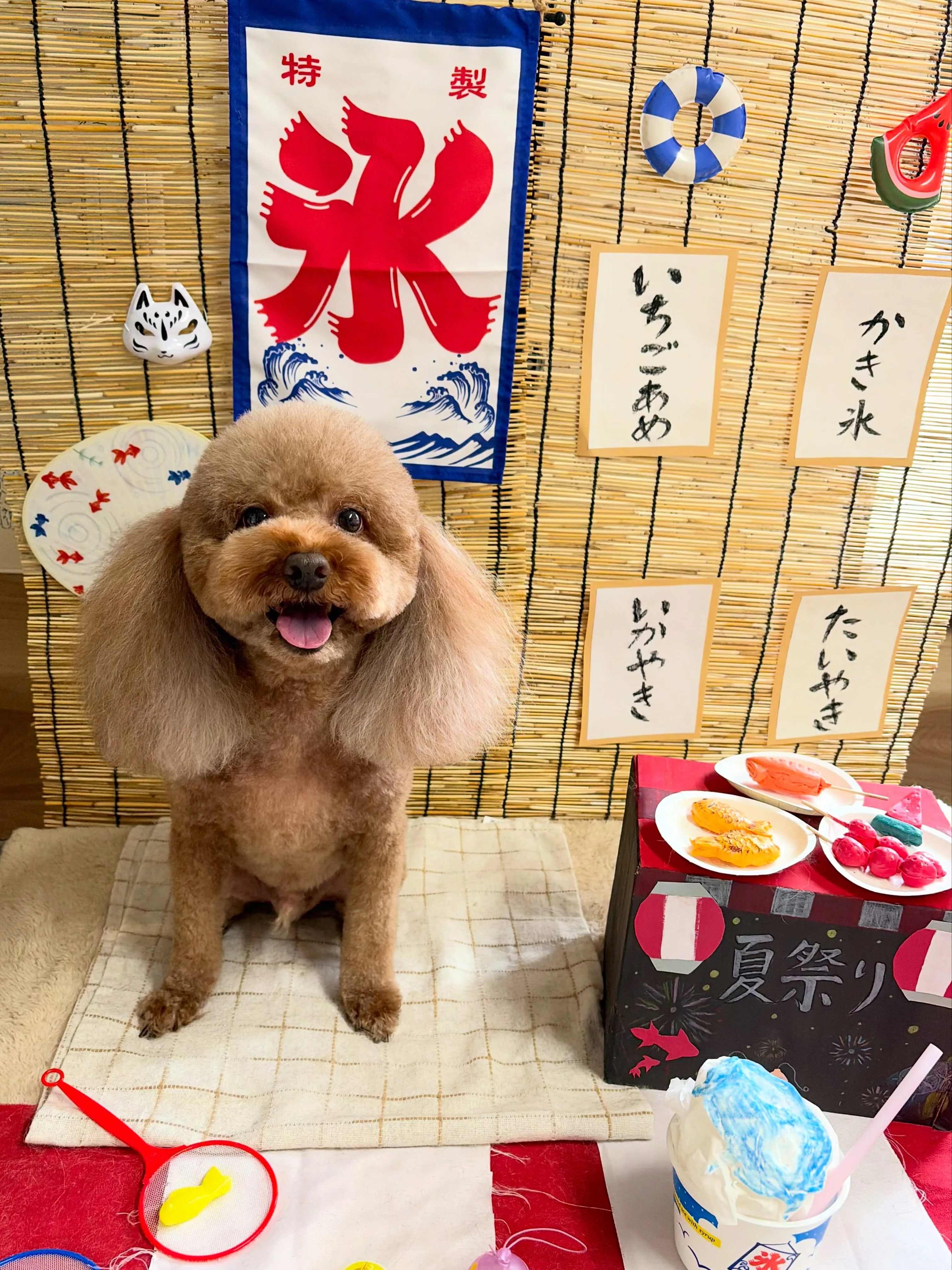 🍃7/15のトリミング🍃プードル🐶｜名東区・千種区・守山区の...