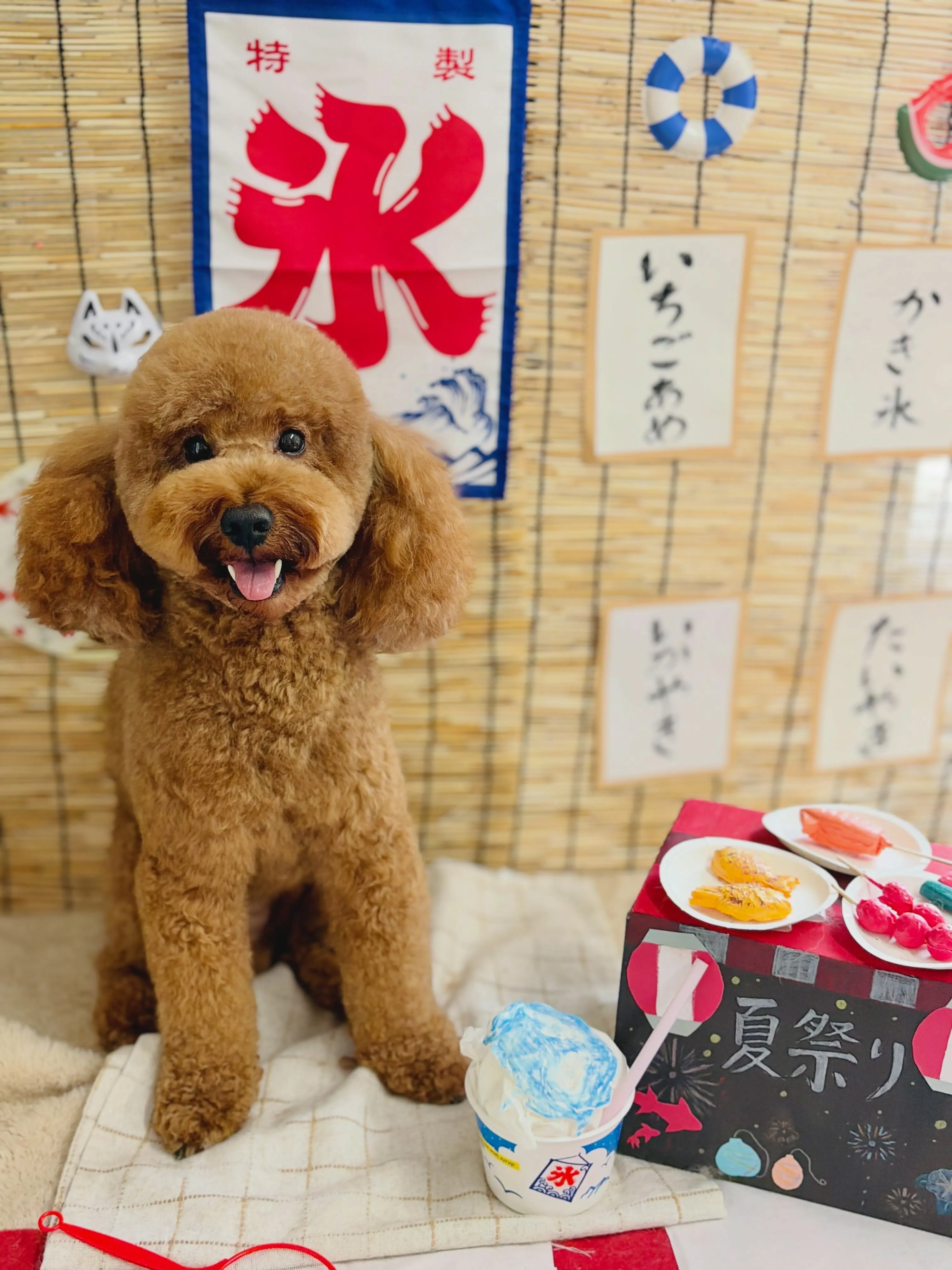 🍃8/15のトリミング🍃プードル🐶｜名東区・千種区・守山区の...