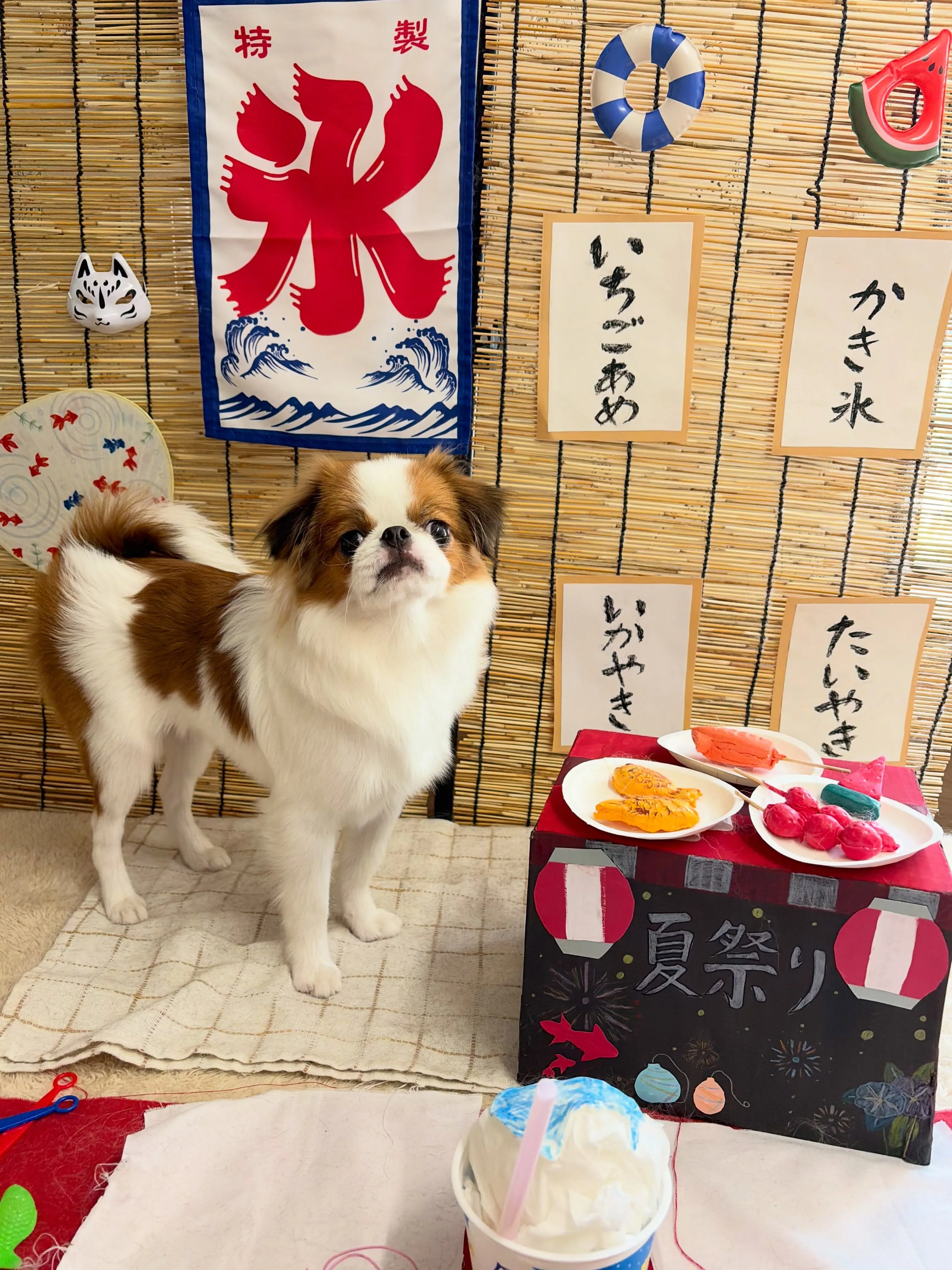 🍃8/16のトリミング🍃狆🐶｜名東区・千種区・守山区の動物病...