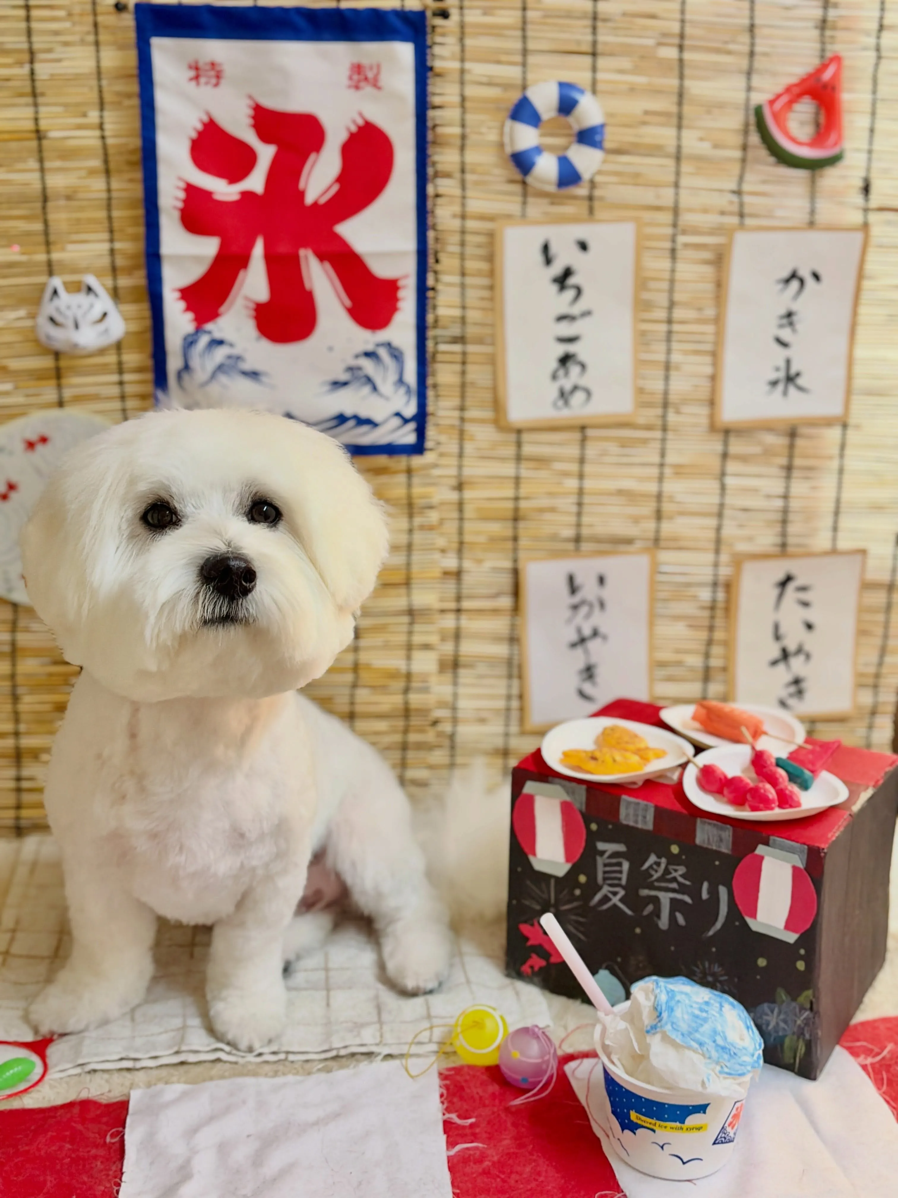 🍃8/17のトリミング🍃ミックス犬🐶｜名東区・千種区・守山区...