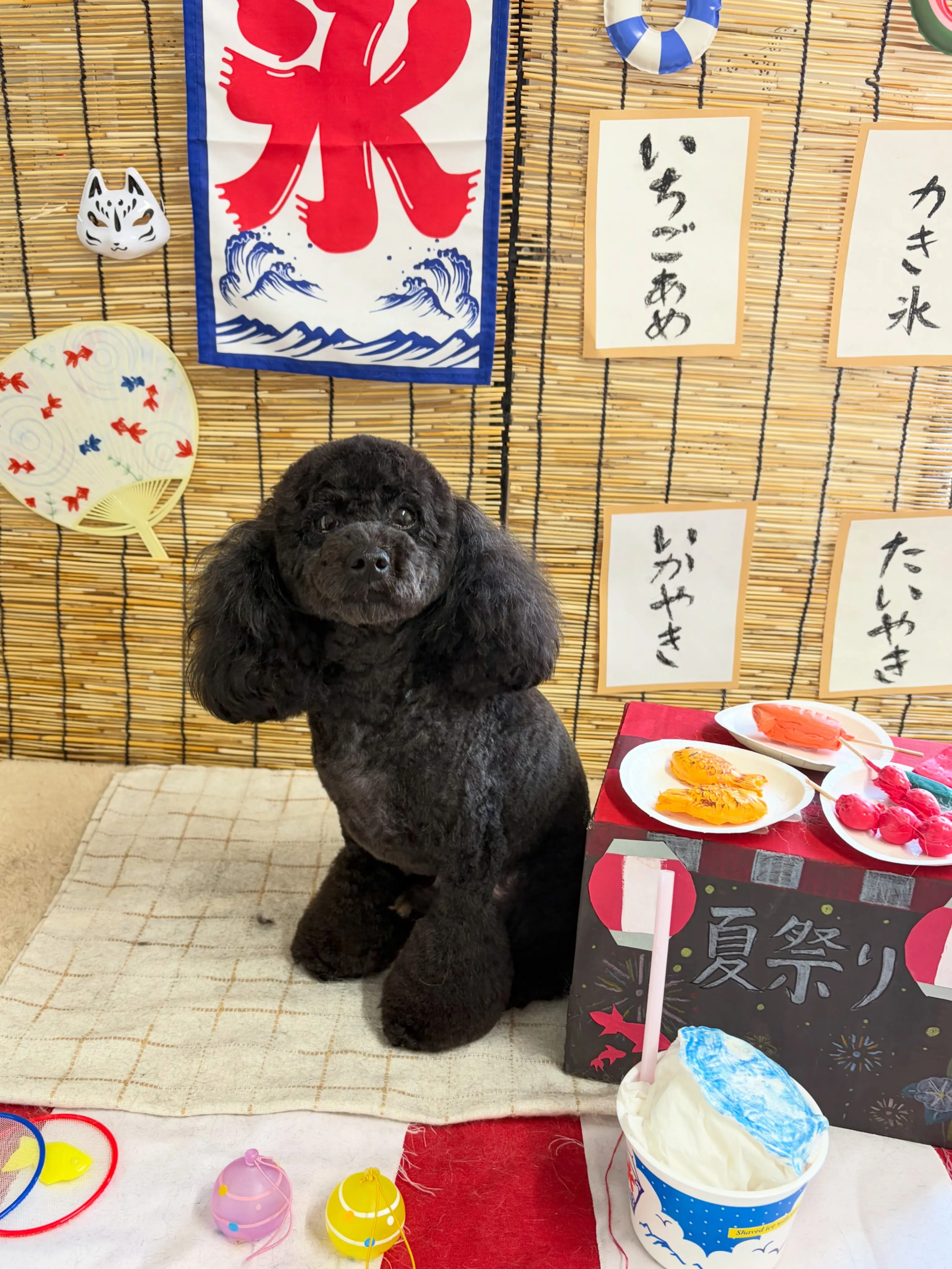 🍃8/18のトリミング🍃プードル 🐶|名東区・千種区・守山区...