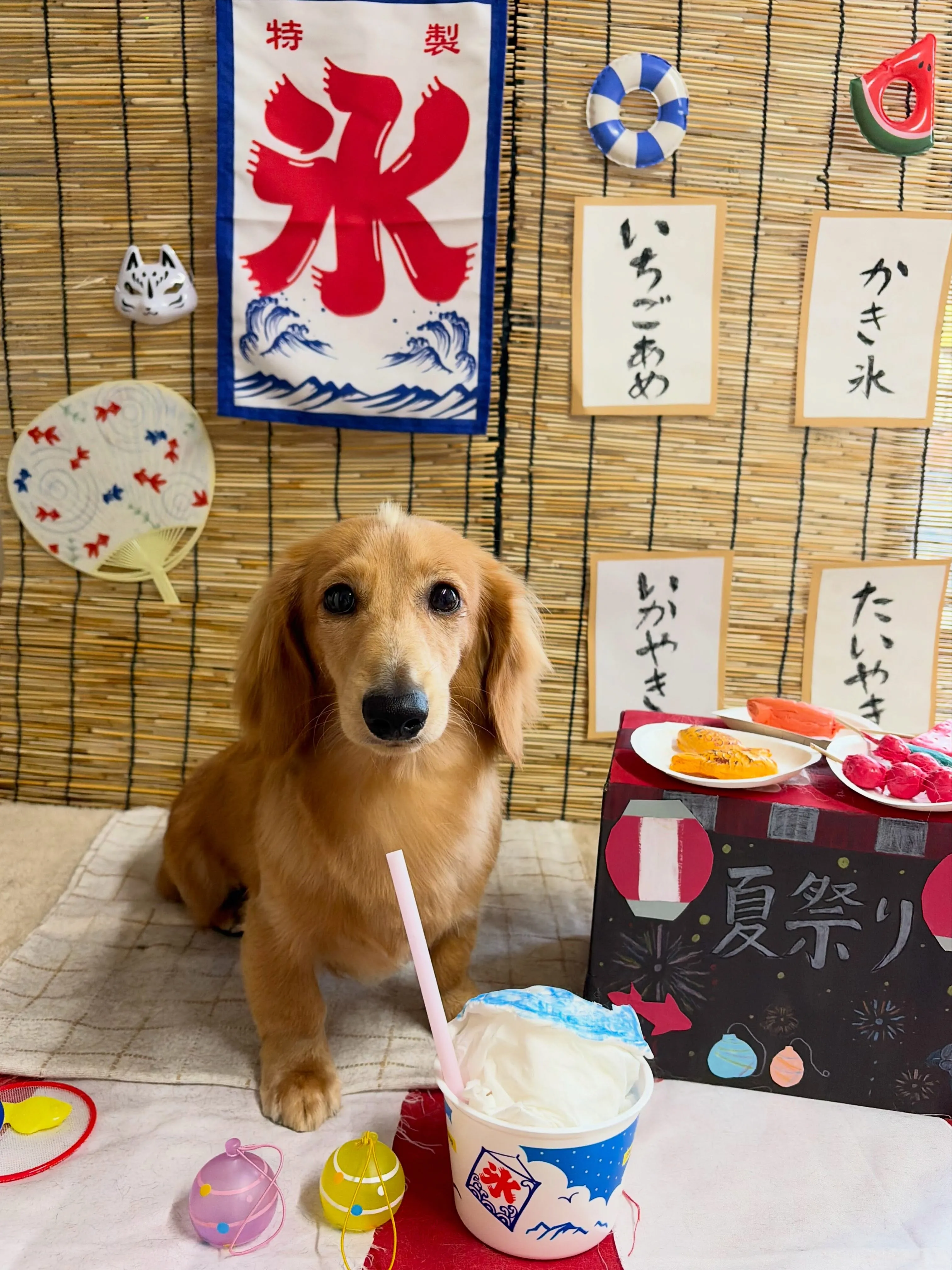 🍃8/18のトリミング🍃ダックス🐶|名東区・千種区・守山区の...