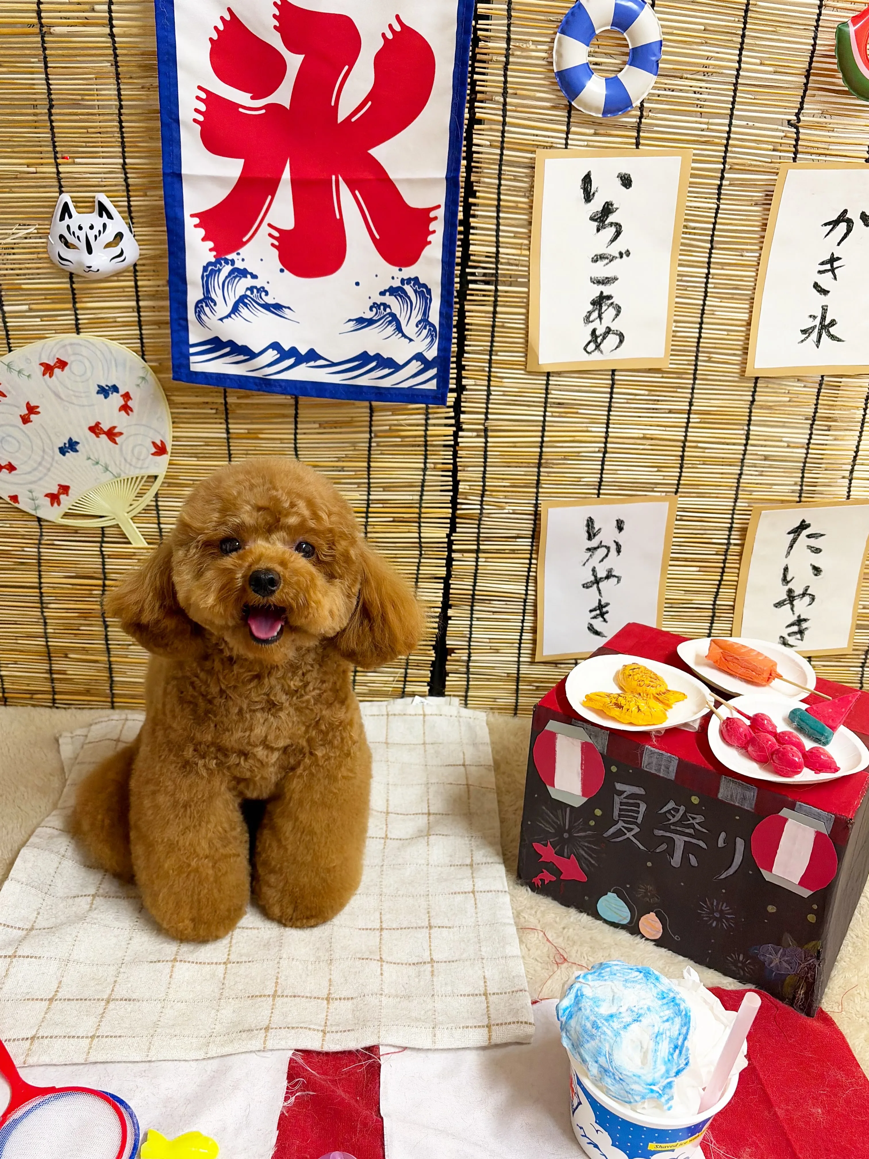🍃8/21のトリミング🍃プードル🐶ミックス犬🐶チワワ🐶|名東...