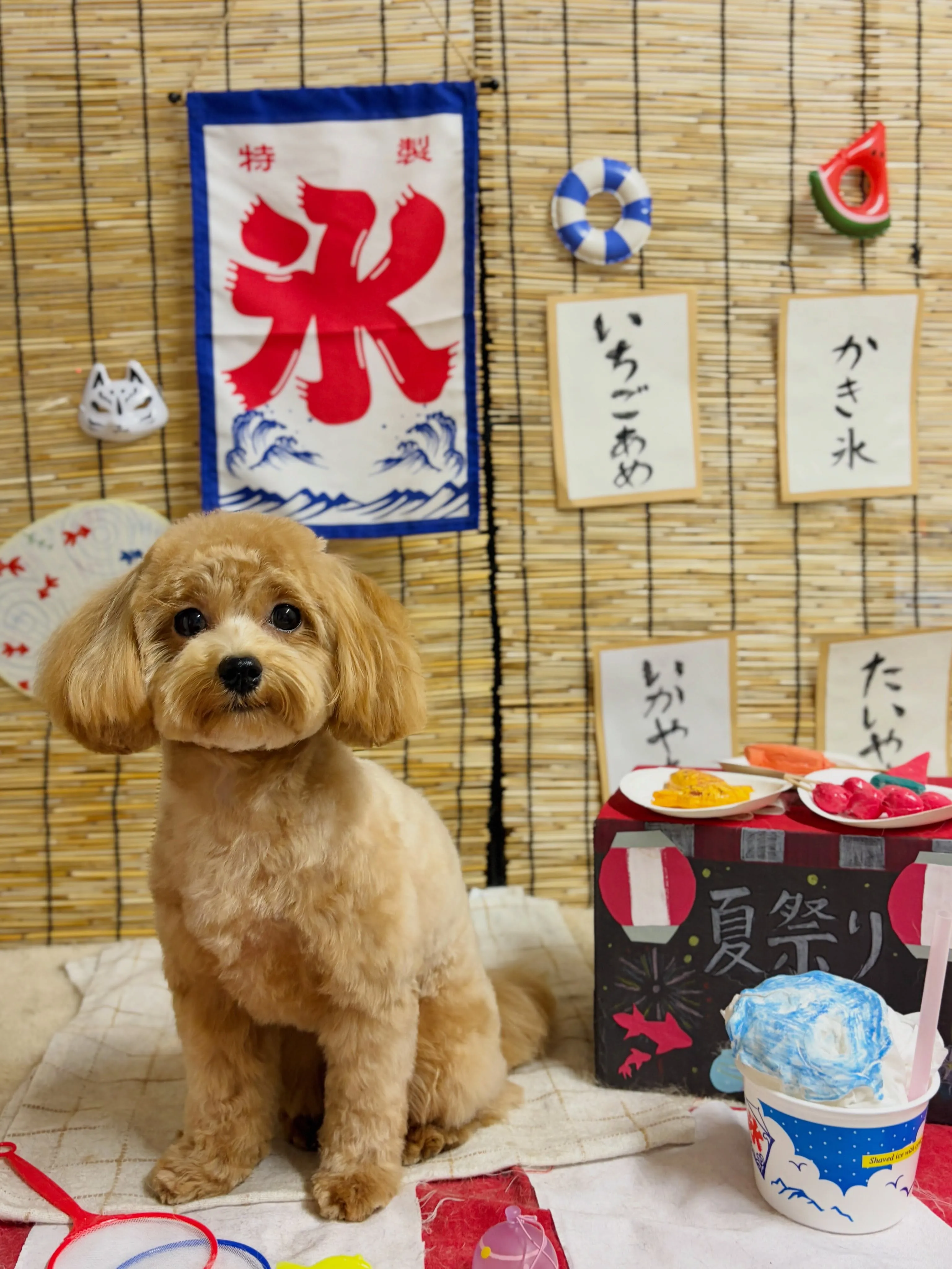 🍃8/21のトリミング🍃ミックス犬🐶|名東区・千種区・守山区...