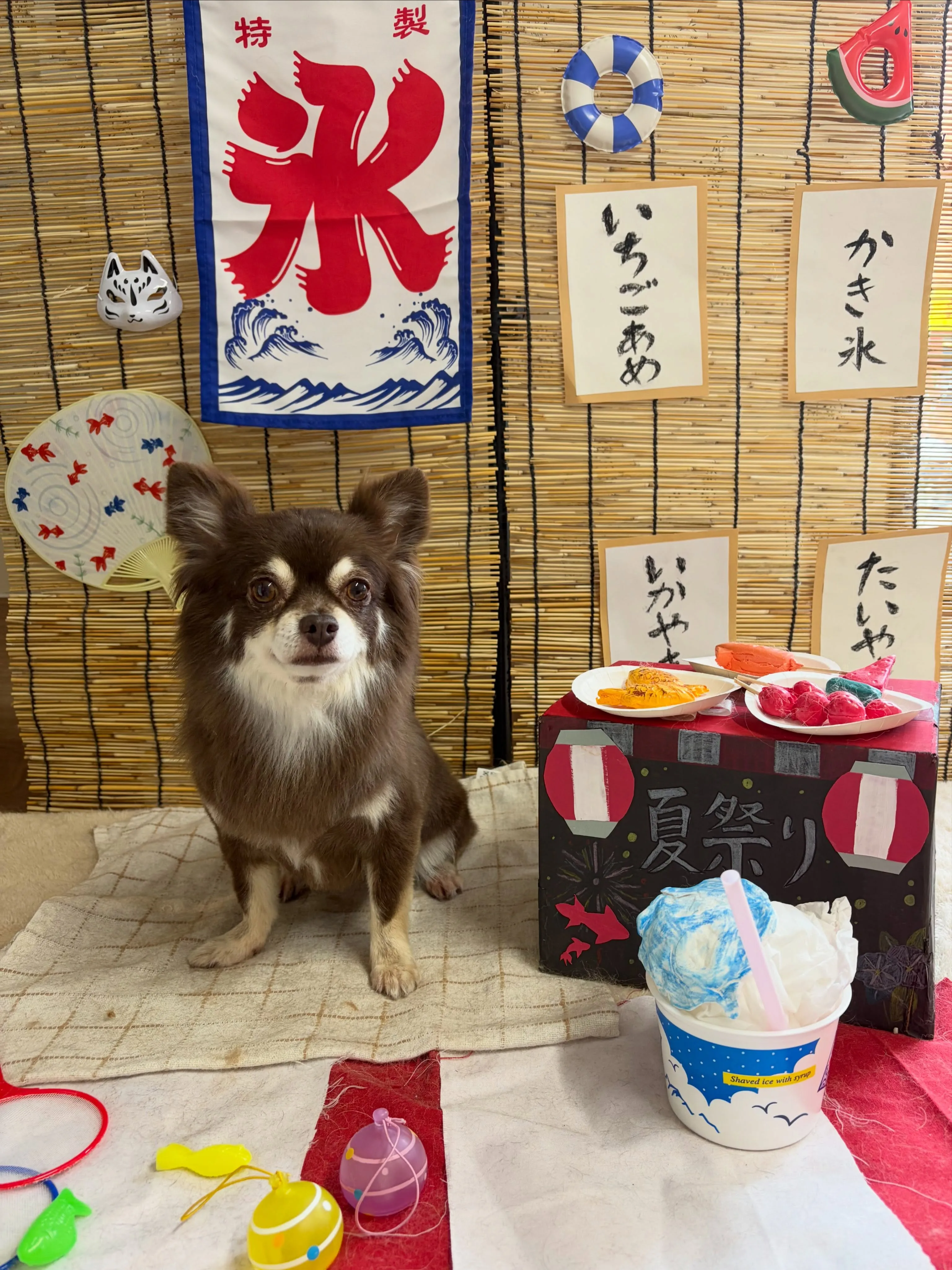 🍃8/22のトリミング🍃チワワ🐶｜名東区・千種区・守山区の動...