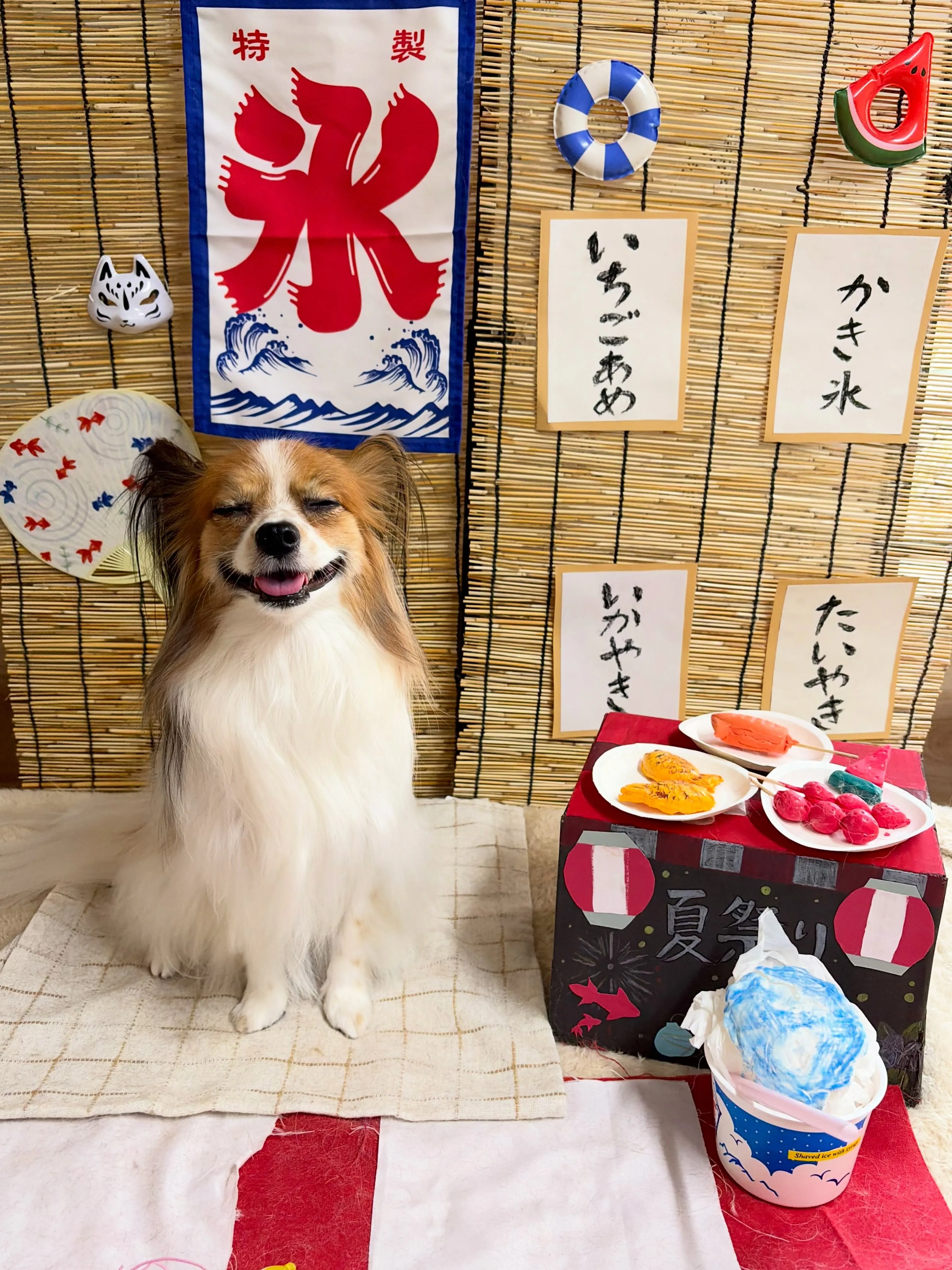 🍃8/22のトリミング🍃パピヨン🐶｜名東区・千種区・守山区の...