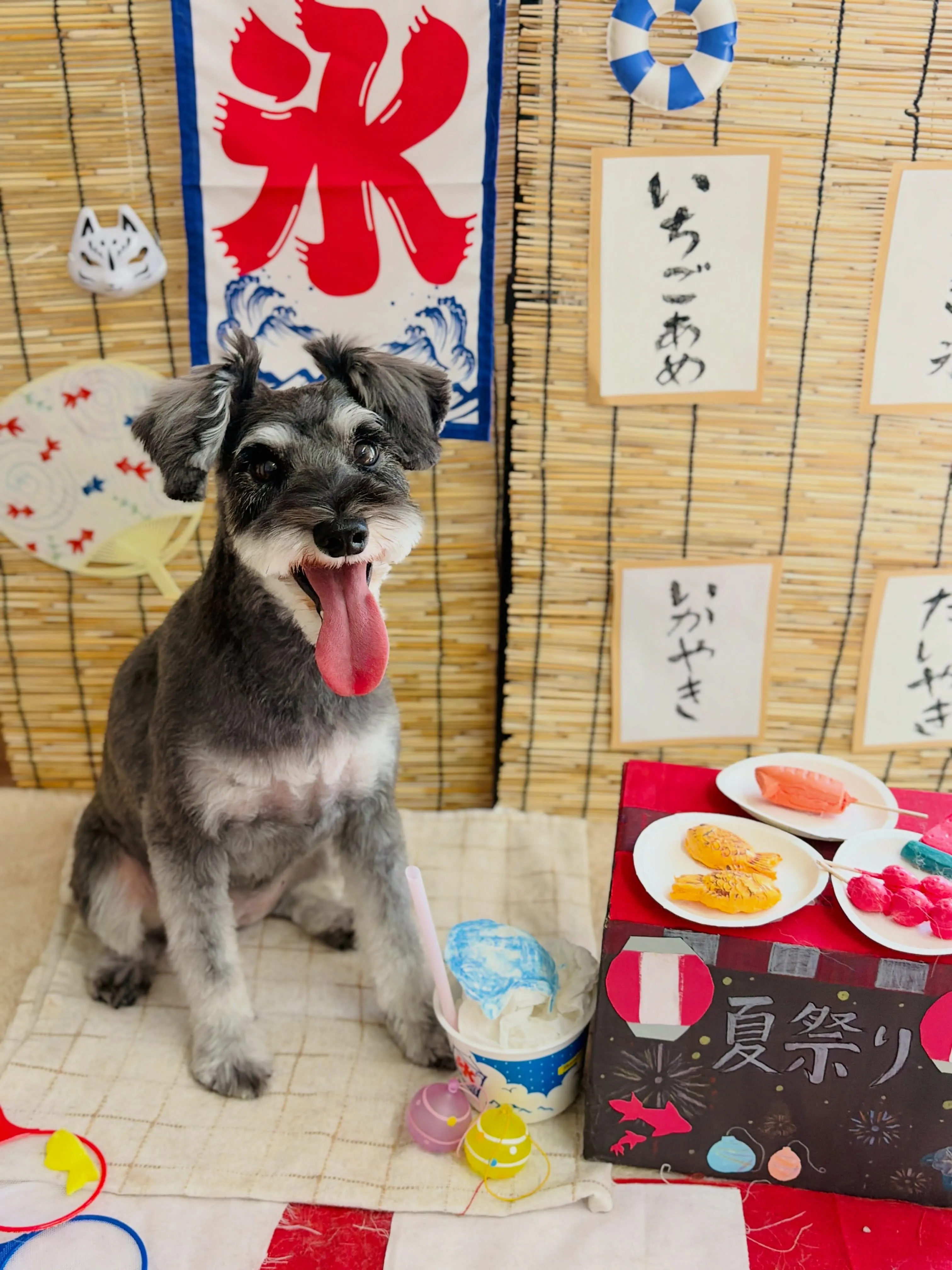 🍃8/23のトリミング🍃プードル🐶シュナウザー🐶|名東区・千...