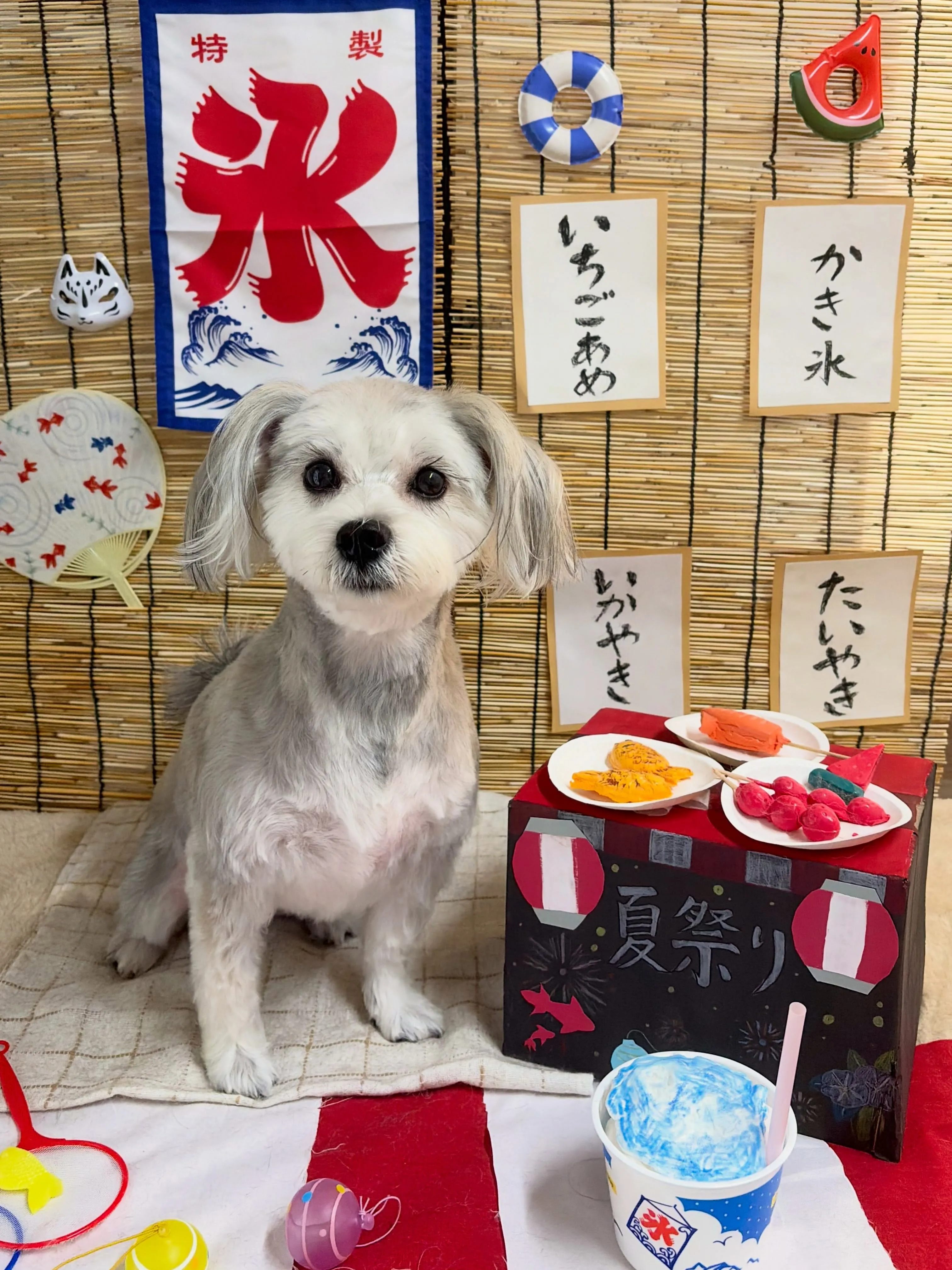 🍃8/25のトリミング🍃ミックス犬🐶｜名東区・千種区・守山区...