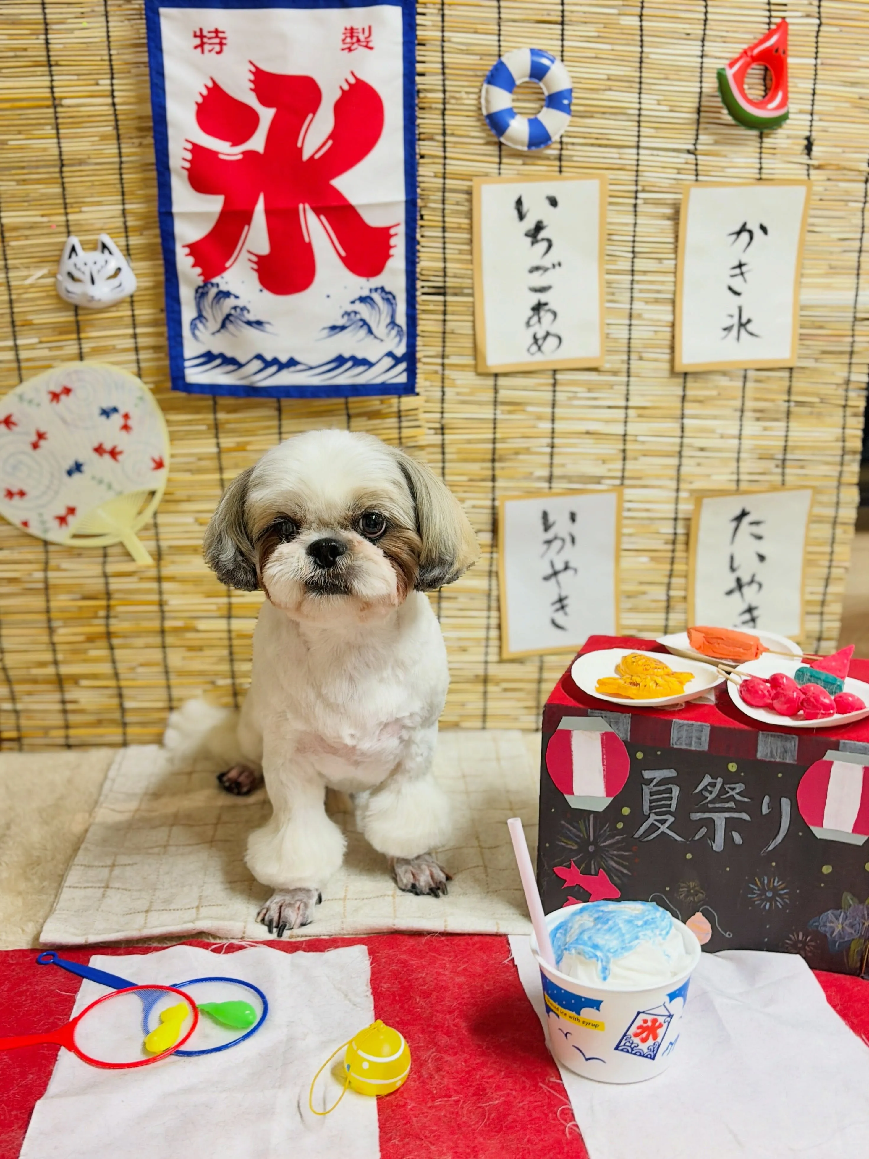 🍃8/26のトリミング🍃シーズー🐶|名東区・千種区・守山区の...