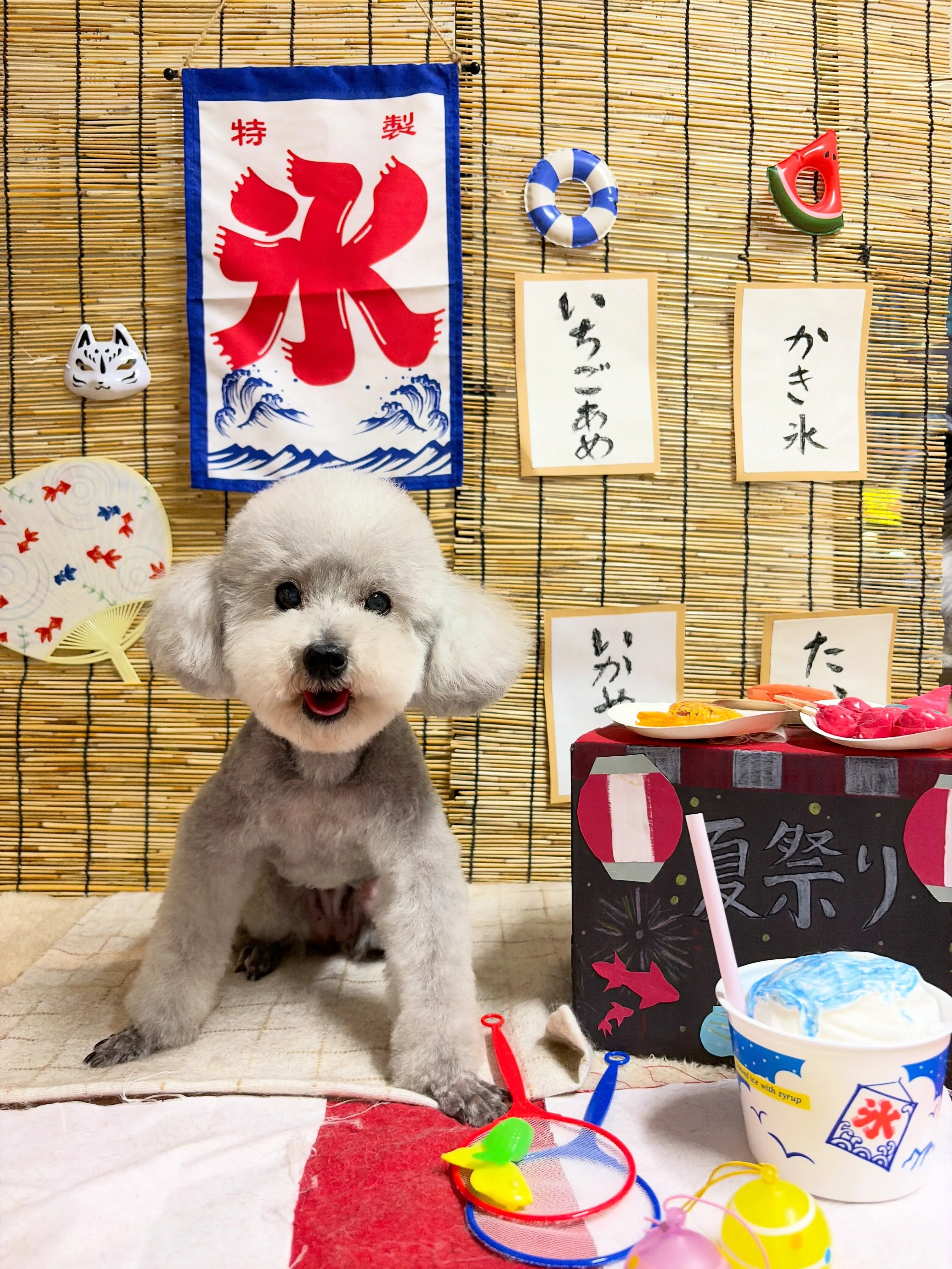 🍃8/28のトリミング🍃プードル🐶｜名東区・千種区・守山区の...