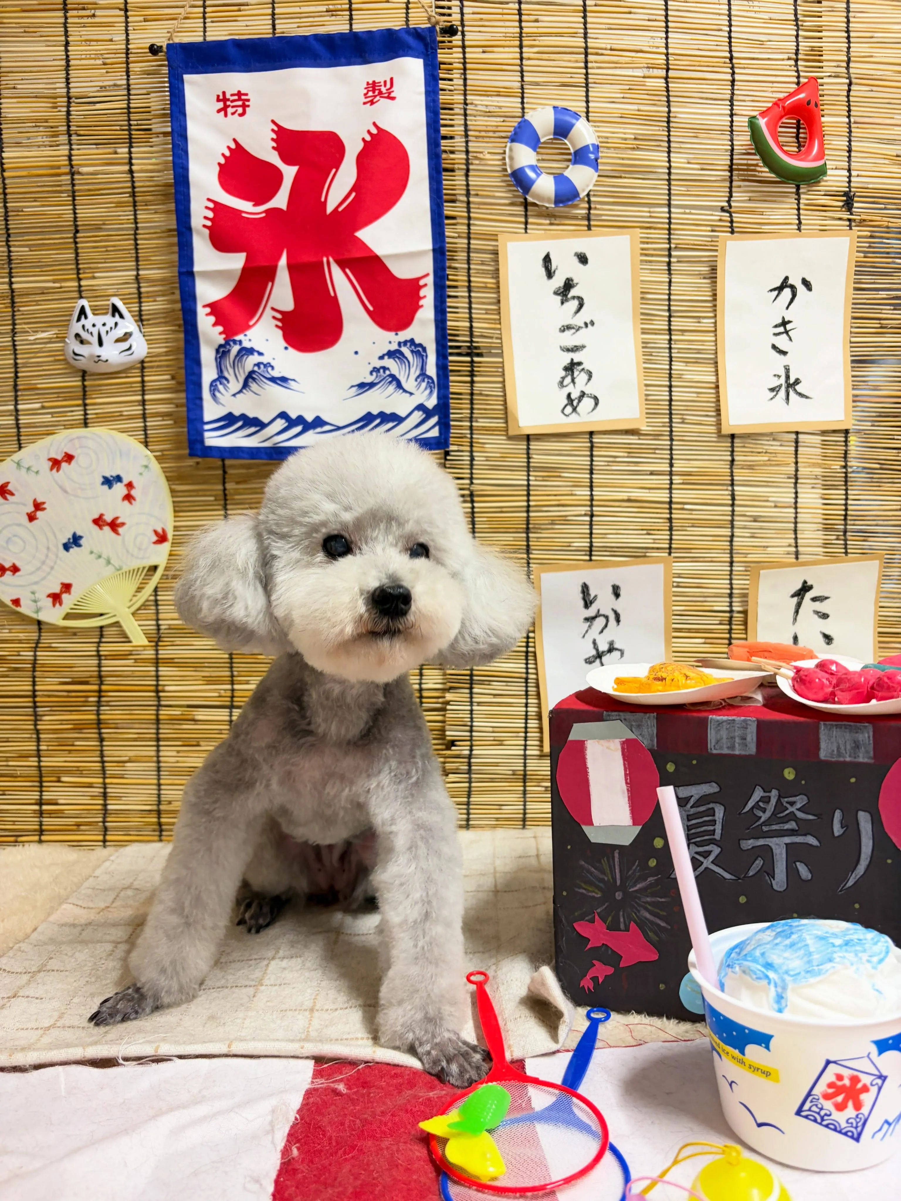 🍃8/28のトリミング🍃プードル🐶｜名東区・千種区・守山区の...