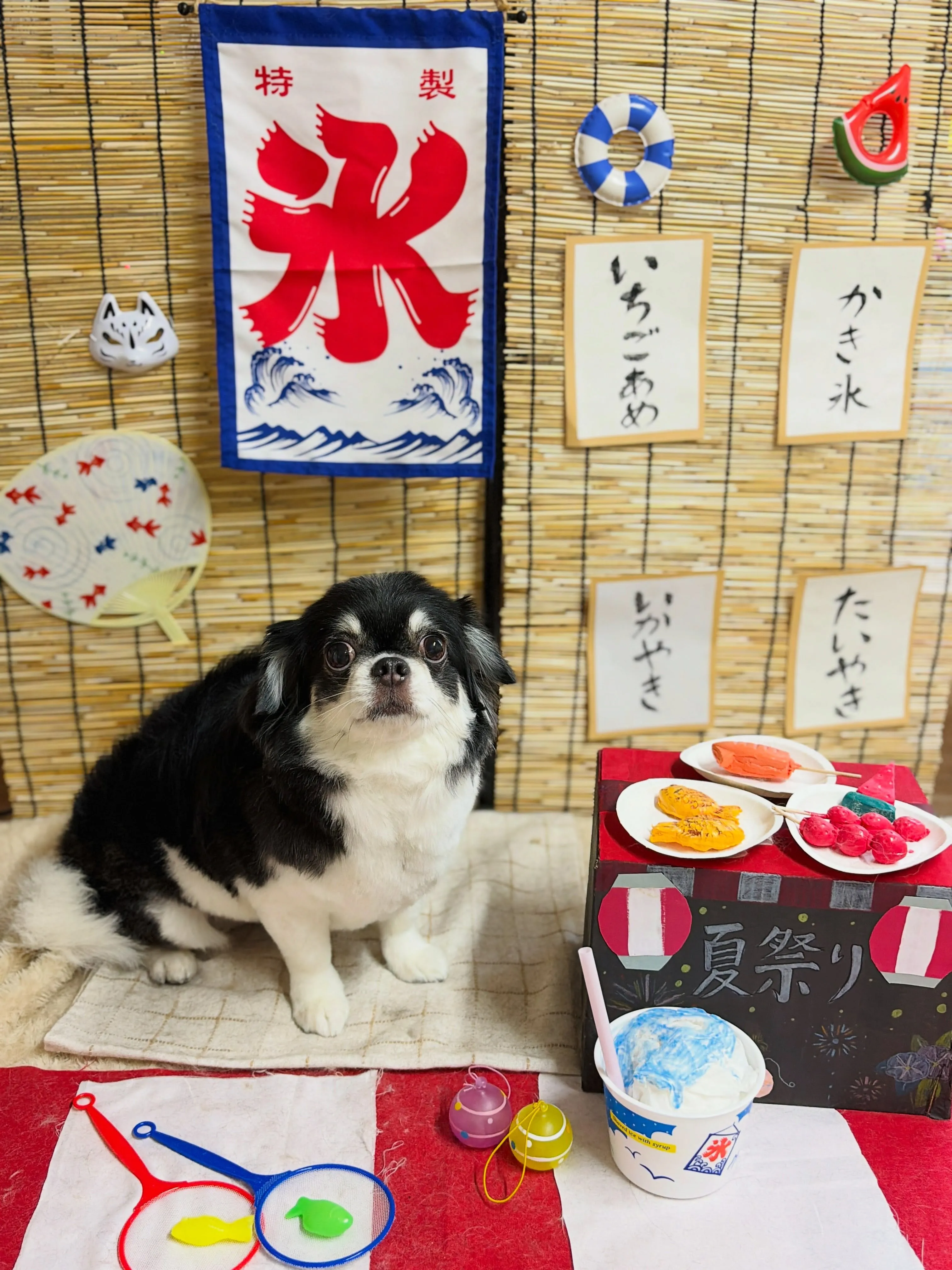 🍃8/29のトリミング🍃チワワ🐶｜名東区・千種区・守山区の動...