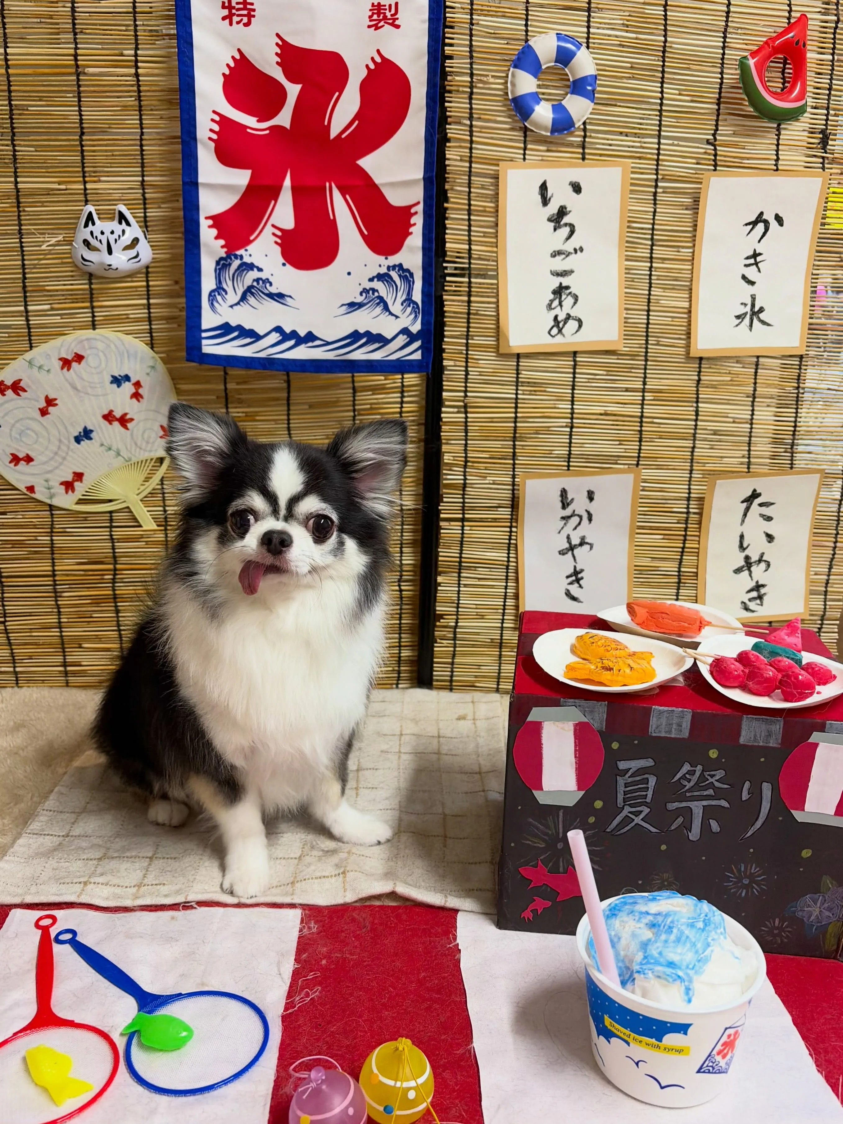🍃8/29のトリミング🍃チワワ🐶|名東区・千種区・守山区の動...
