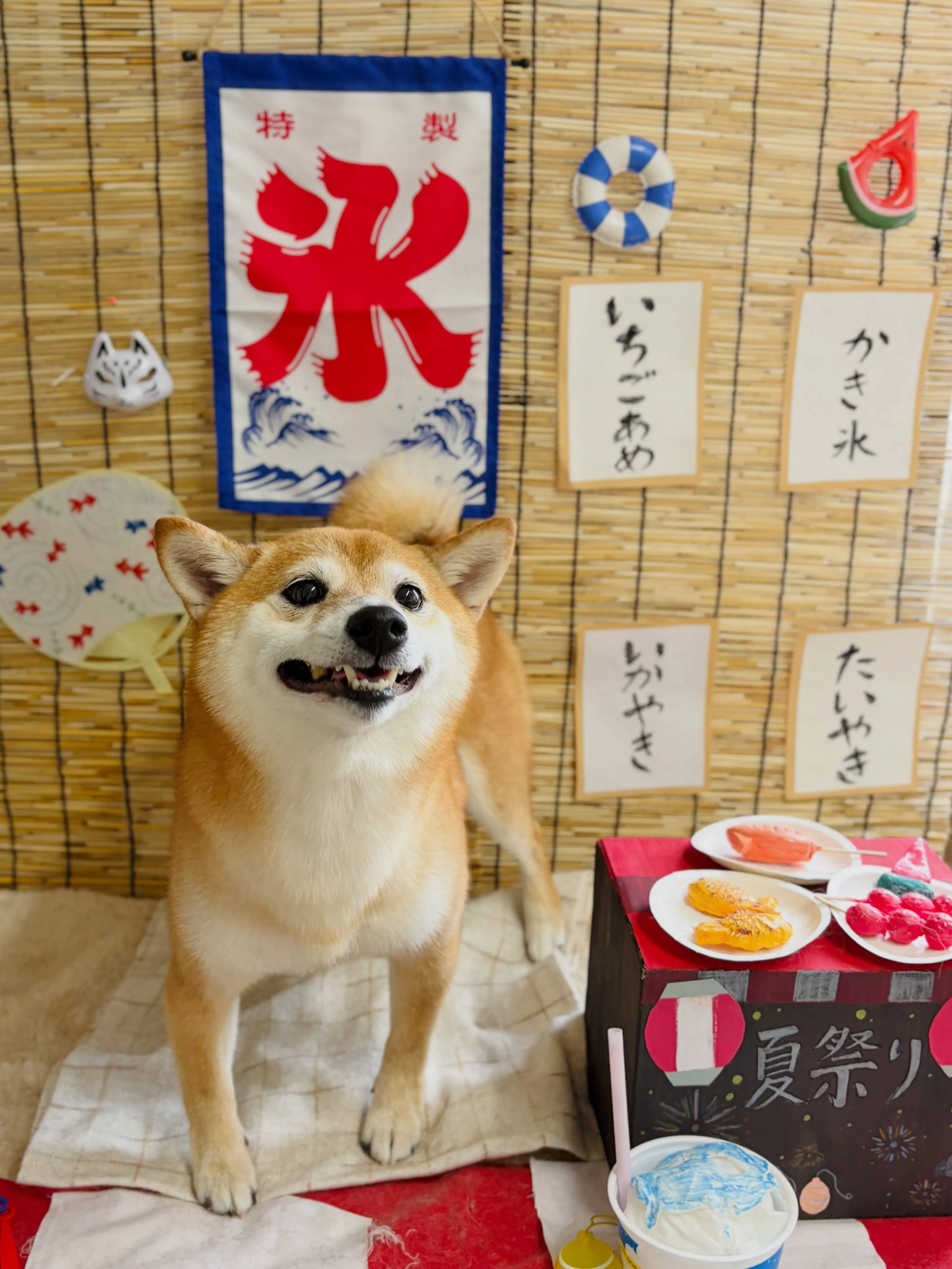 🍃8/30のトリミング🍃柴犬🐶｜名東区・千種区・守山区の動物...
