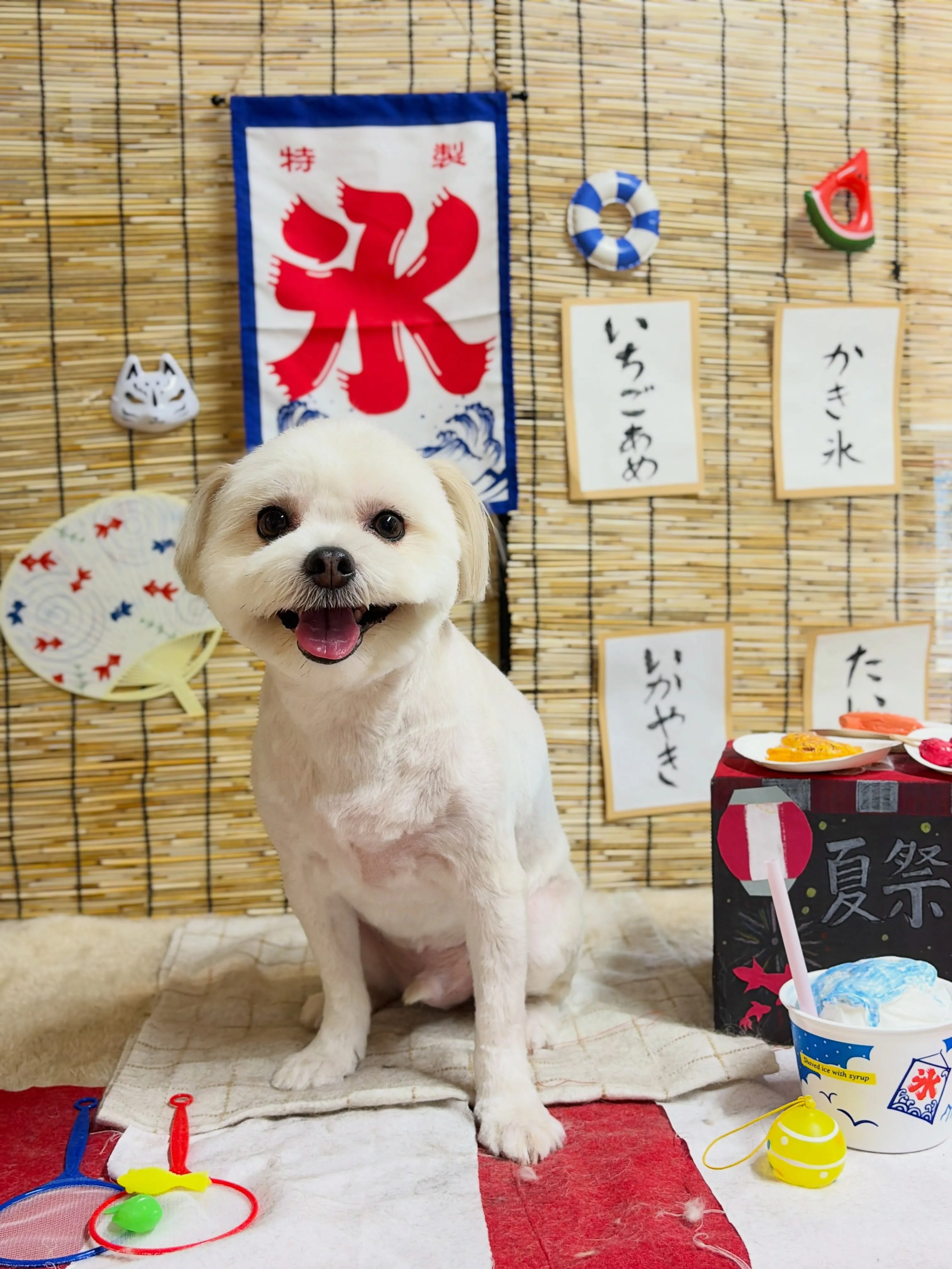 🍃8/30のトリミング🍃ミックス犬🐶|名東区・千種区・守山区...