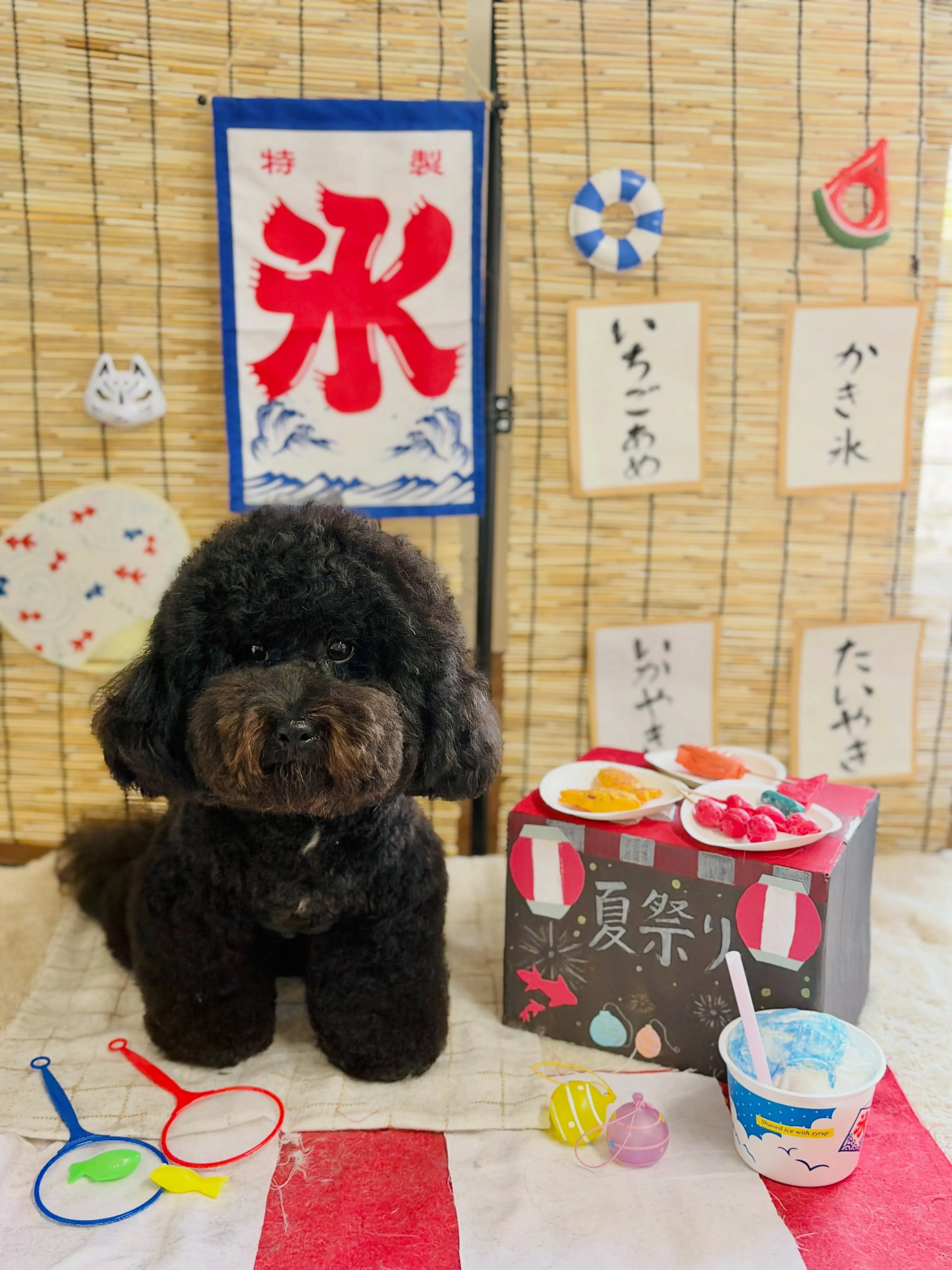 🍃8/31のトリミング🍃ミックス犬🐶|名東区・千種区・守山区...