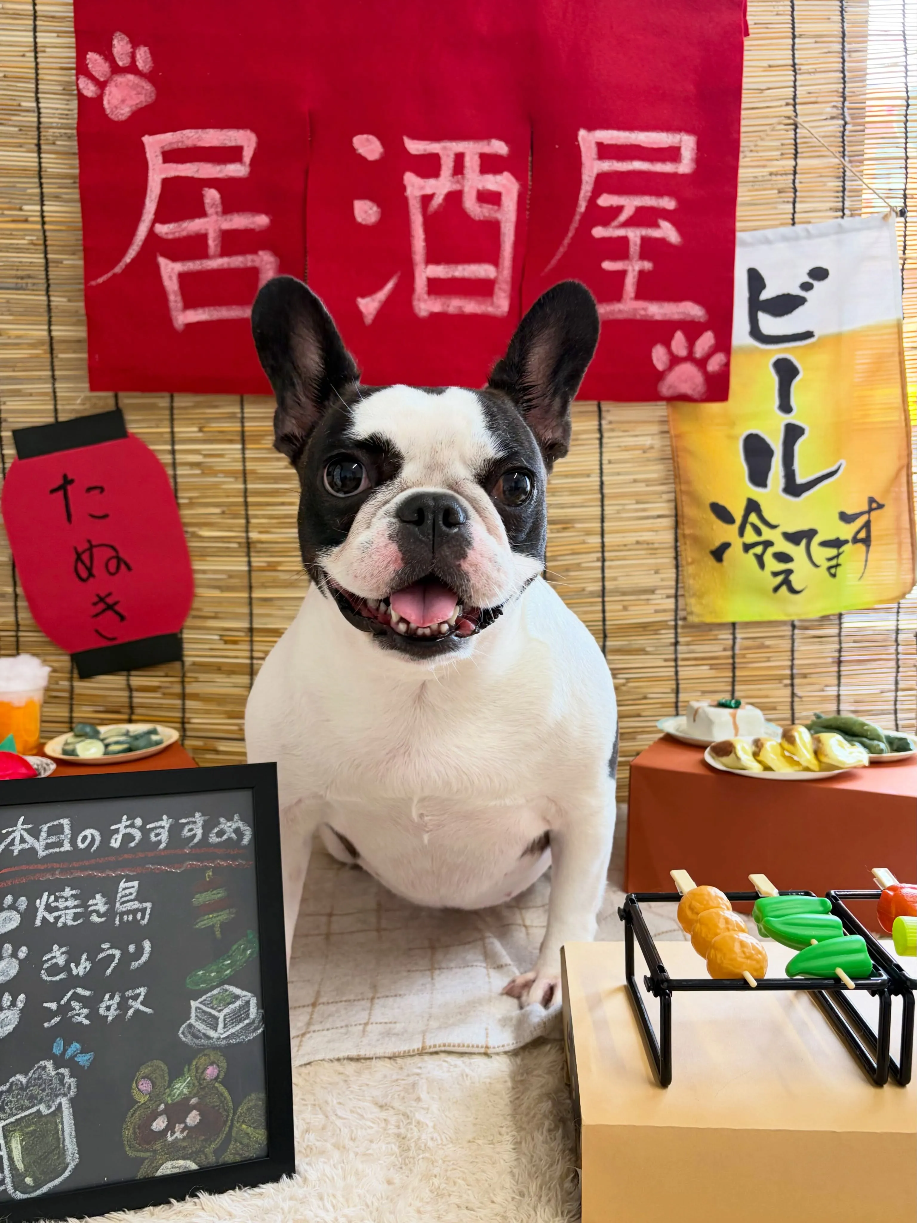 🍃9/1のトリミング🍃フレンチブルドッグ🐶｜名東区・千種区・...