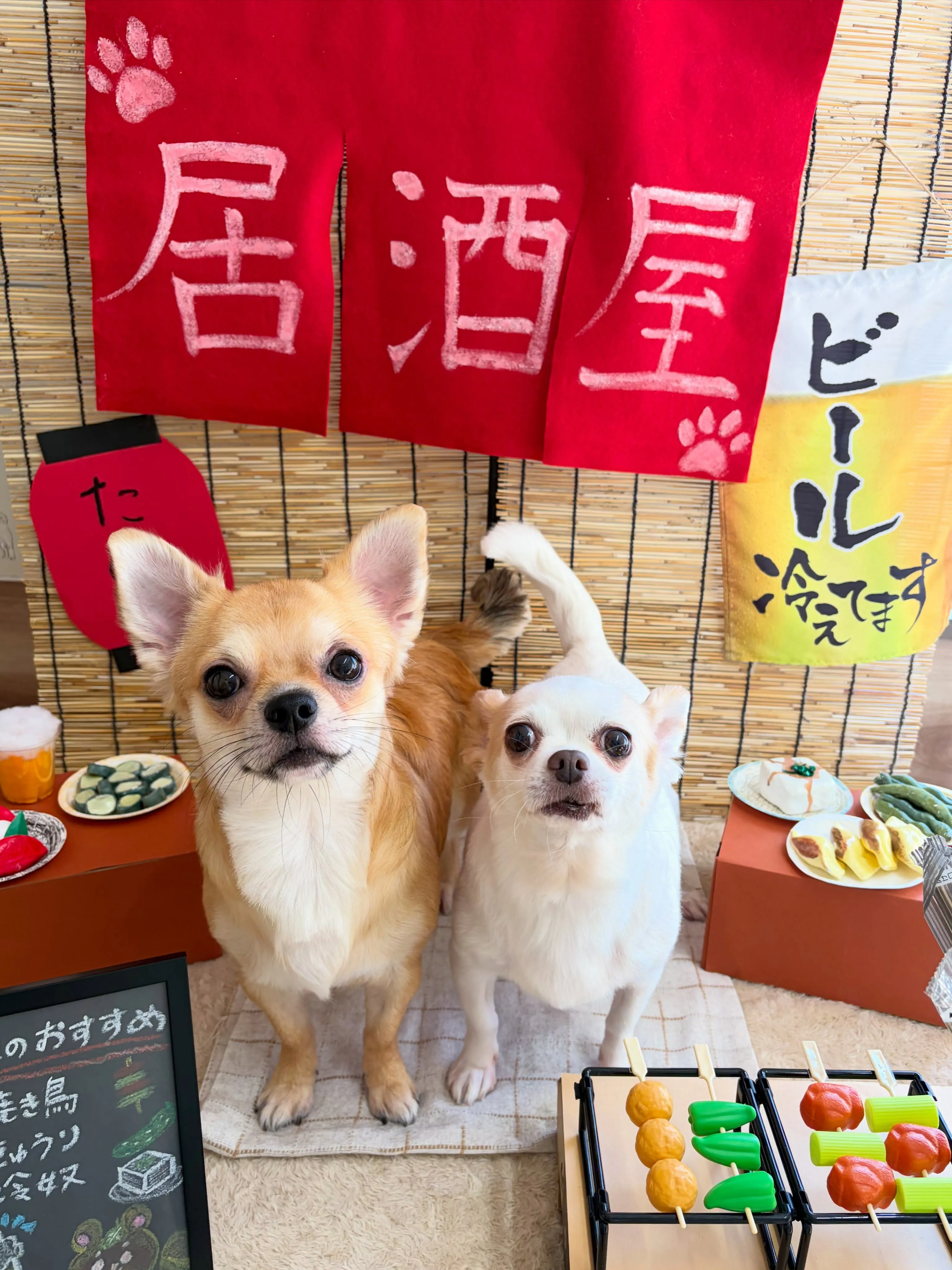 🍃9/1のトリミング🍃ミックス犬🐶｜名東区・千種区・守山区の...