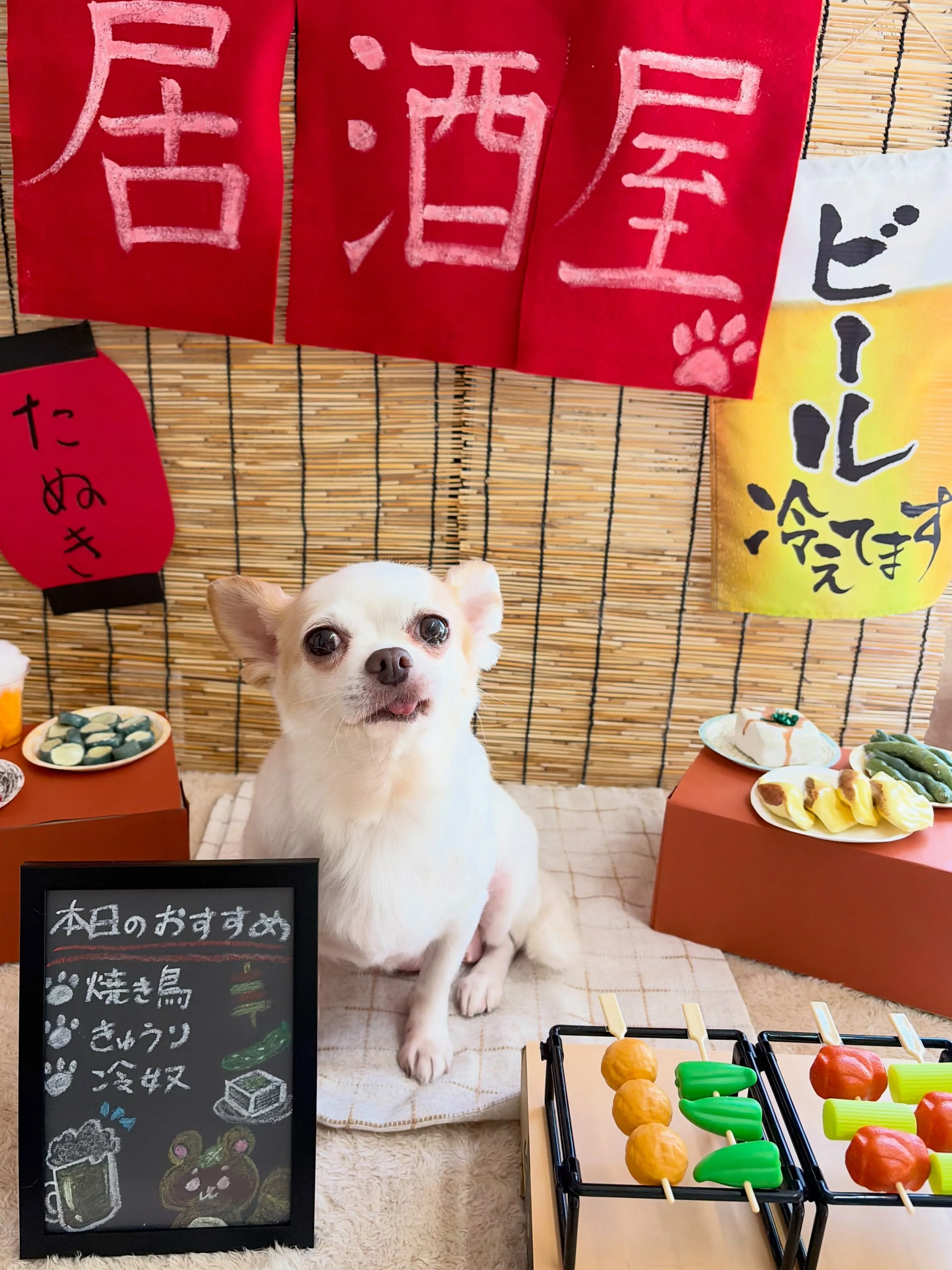 🍃9/1のトリミング🍃ミックス犬🐶｜名東区・千種区・守山区の...