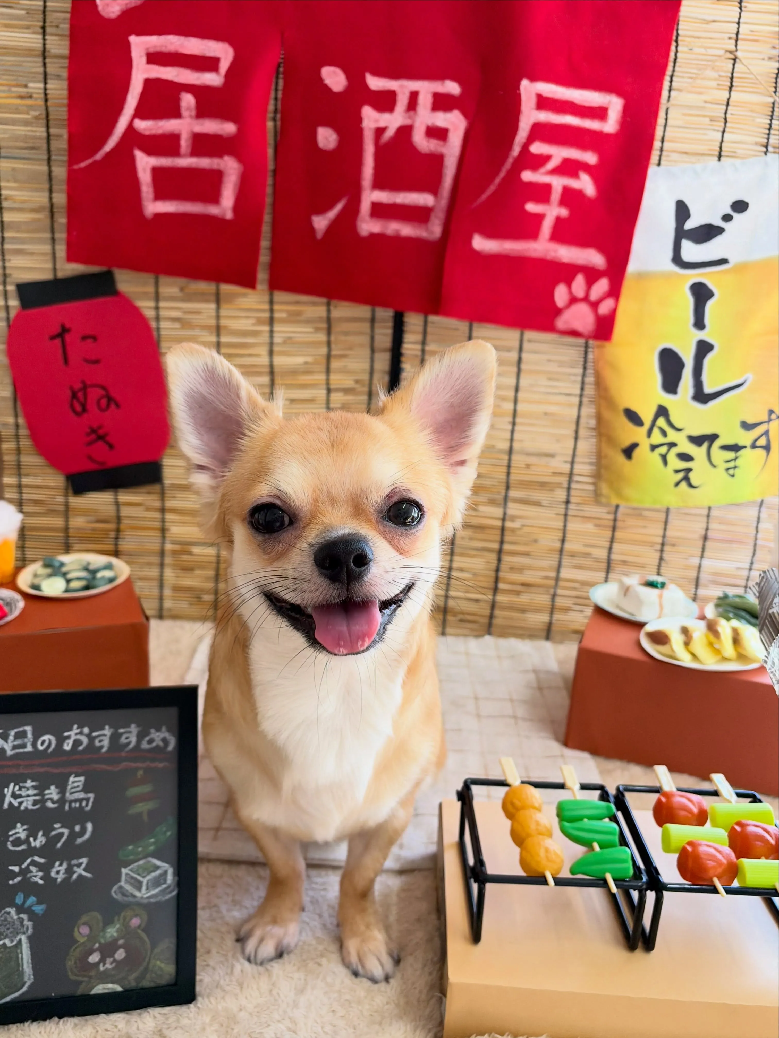 🍃9/1のトリミング🍃ミックス犬🐶｜名東区・千種区・守山区の...