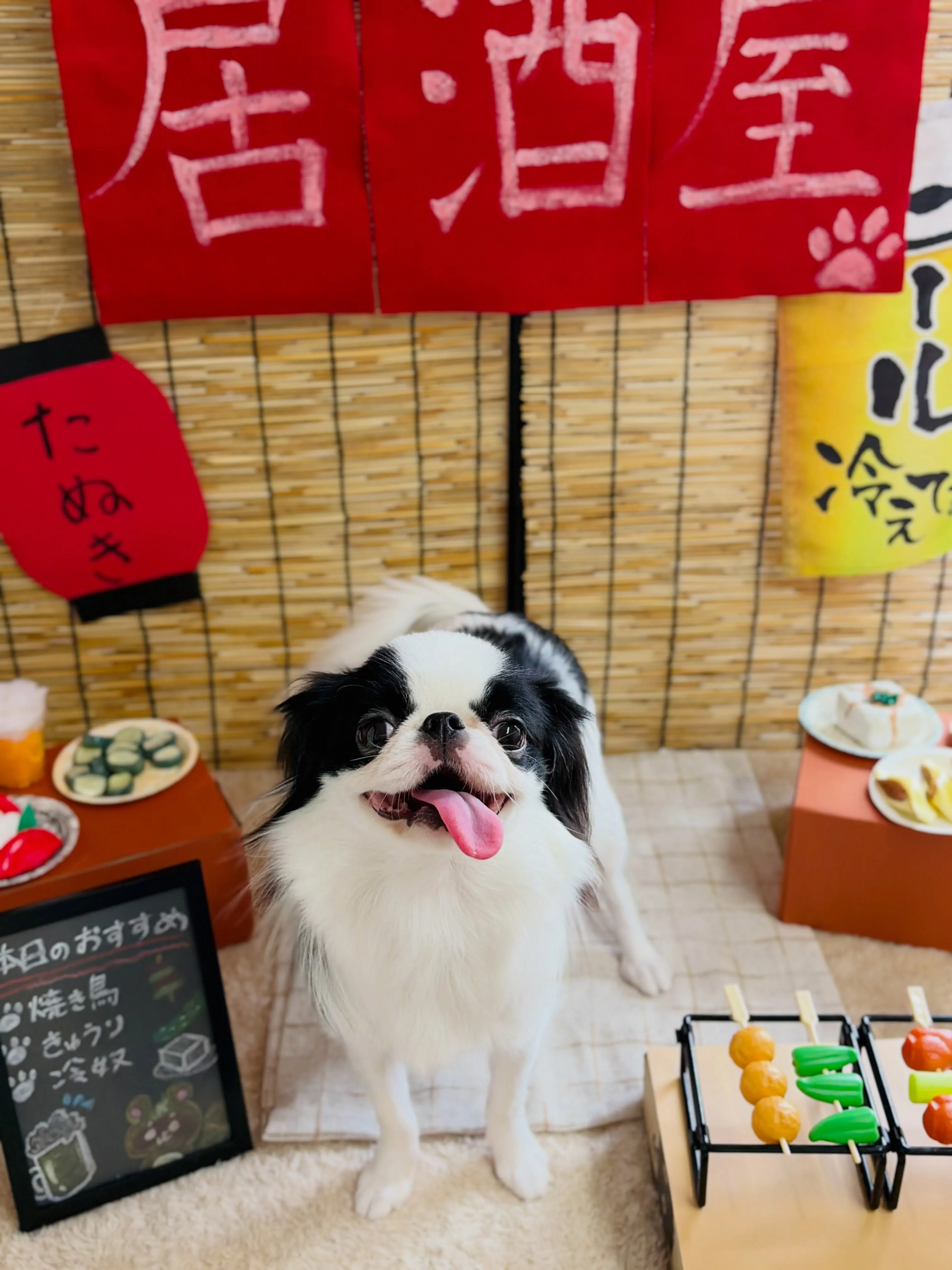 🍃8/2のトリミング🍃狆🐶｜名東区・千種区・守山区の動物病院...
