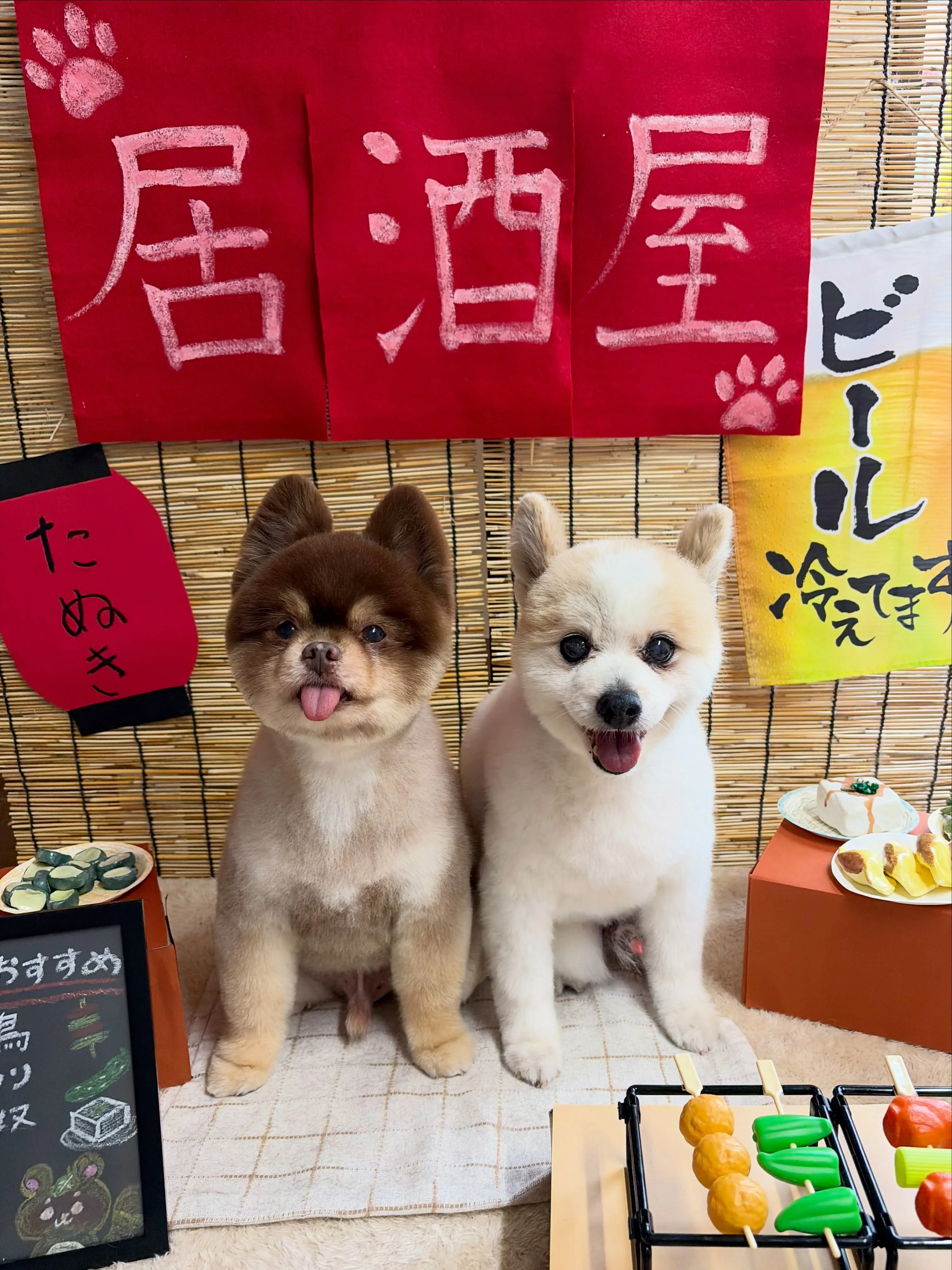 🍃9/2のトリミング🍃ポメラニアン🐶｜名東区・千種区・守山区...
