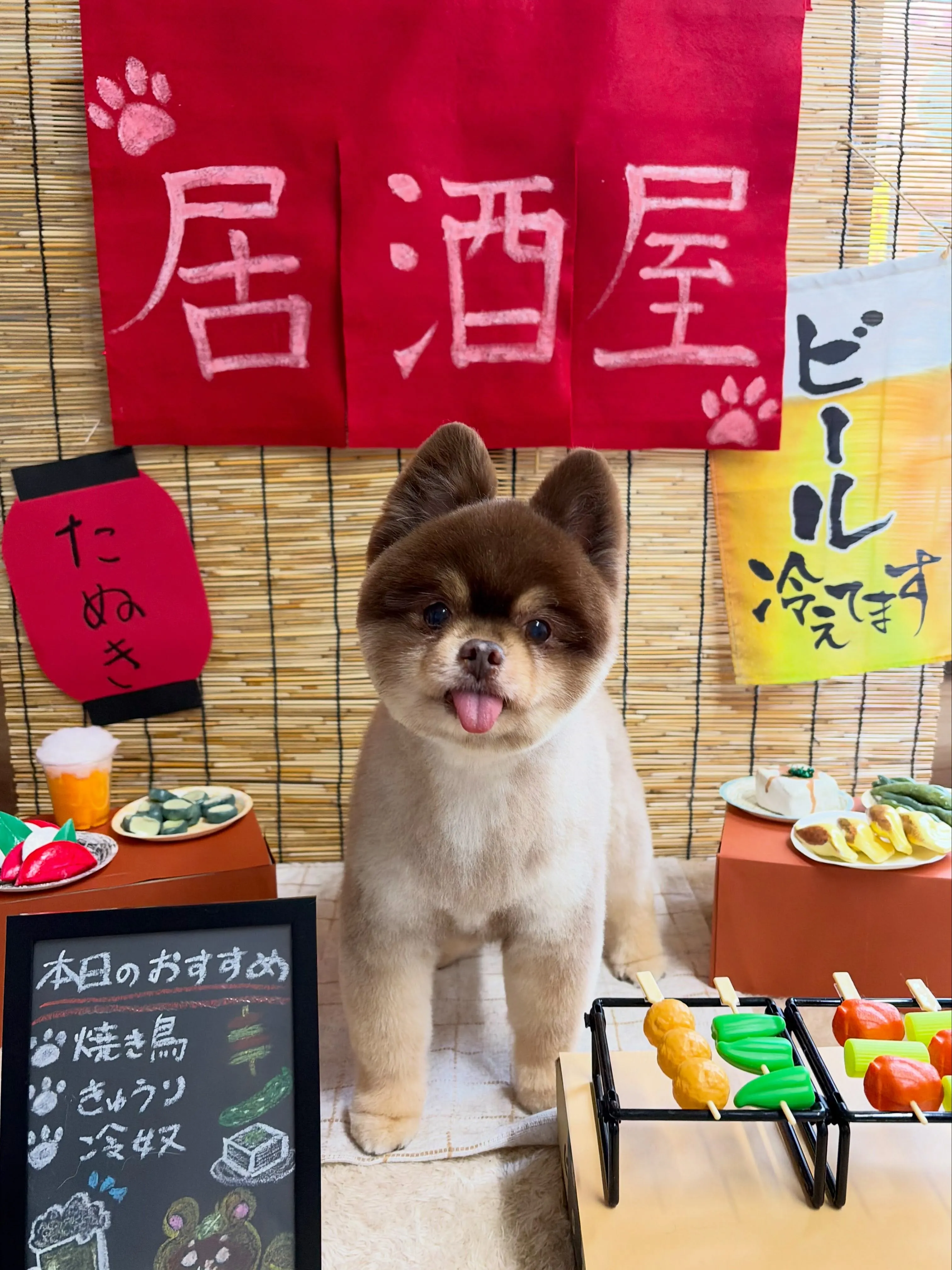 🍃9/2のトリミング🍃ポメラニアン🐶｜名東区・千種区・守山区...
