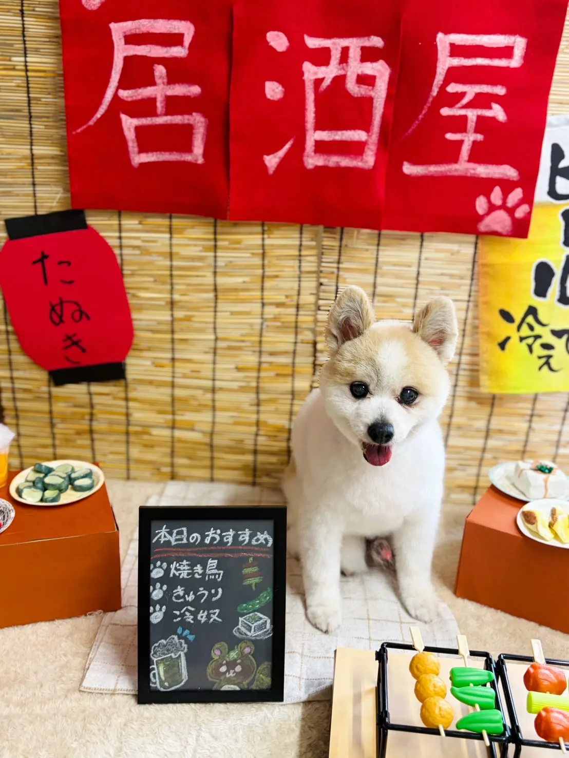 🍃9/2のトリミング🍃ポメラニアン🐶｜名東区・千種区・守山区...