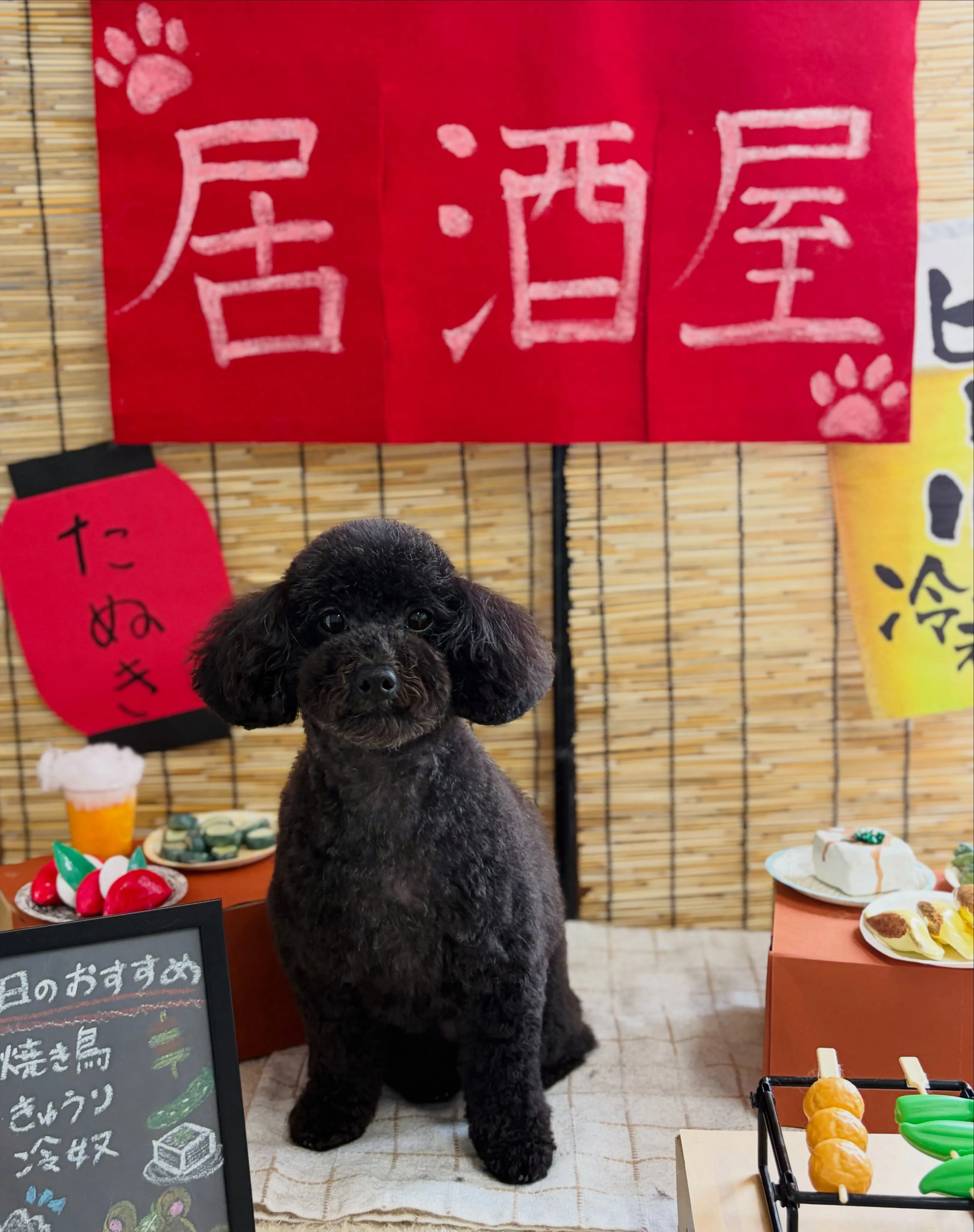 🍃9/6のトリミング🍃プードル🐶｜名東区・千種区・守山区の動...