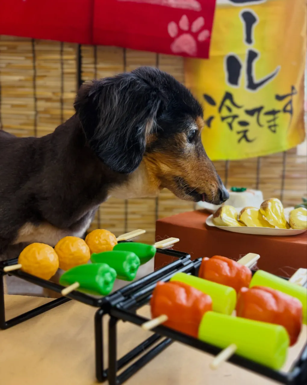 🍃9/9のトリミング🍃ダックス🐶｜名東区・千種区・守山区の動...