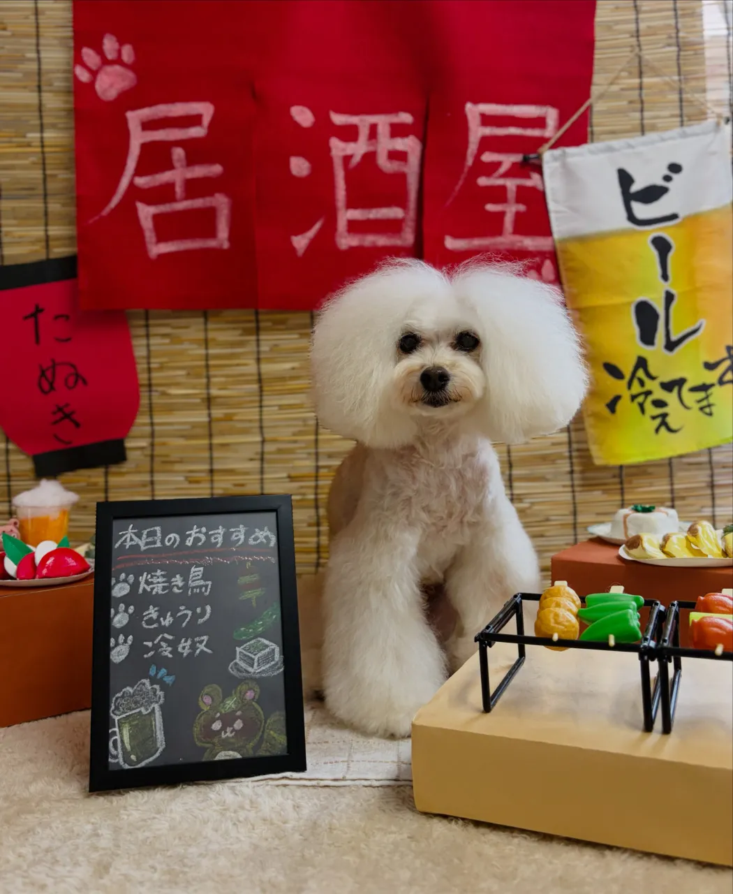 🍃9/11のトリミング🍃プードル🐶|名東区・千種区・守山区の...