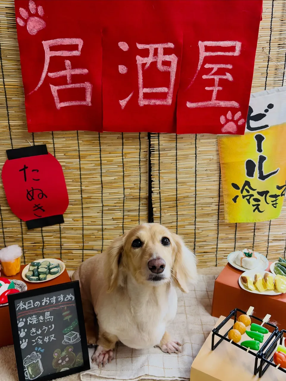 🍃9/11のトリミング🍃プードル🐶ダックス🐶|名東区・千種区...
