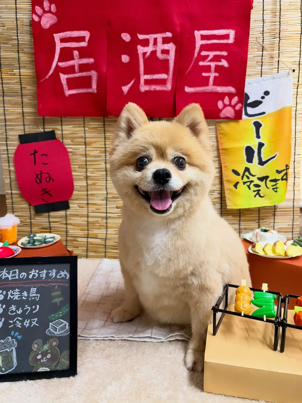 🍃9/11のトリミング🍃ポメラニアン🐶|名東区・千種区・守山...