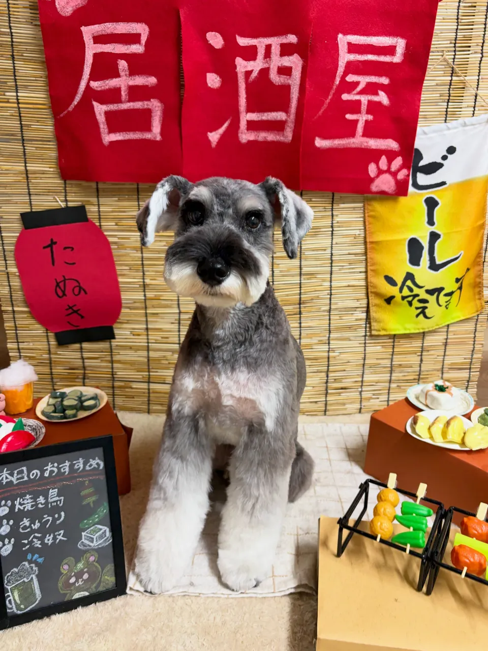 🍃9/11のトリミング🍃シュナウザー🐶|名東区・千種区・守山...