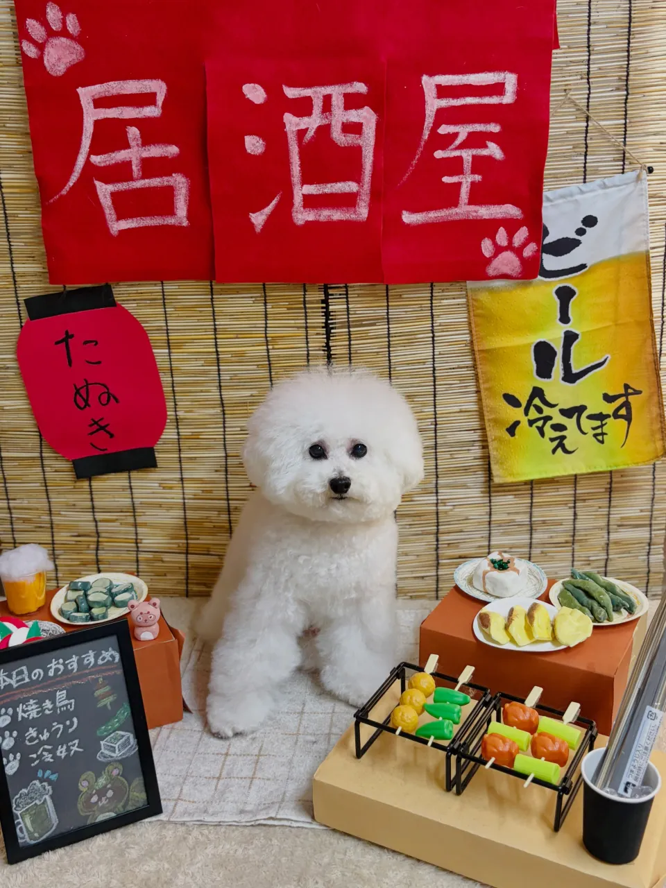 🍃9/12のトリミング🍃プードル🐶|名東区・千種区・守山区の...