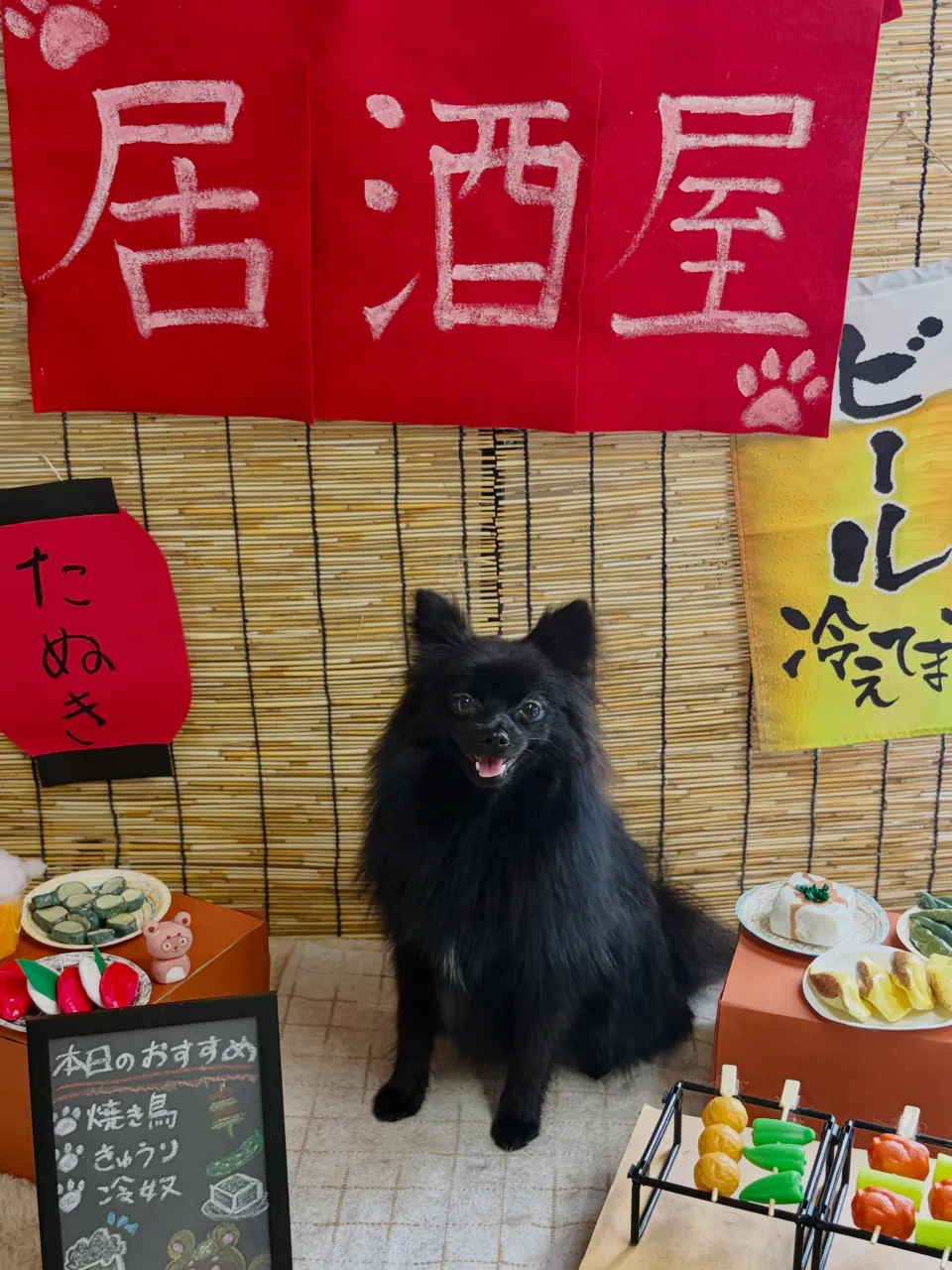 🍃9/12のトリミング🍃ポメラニアン🐶|名東区・千種区・守山...