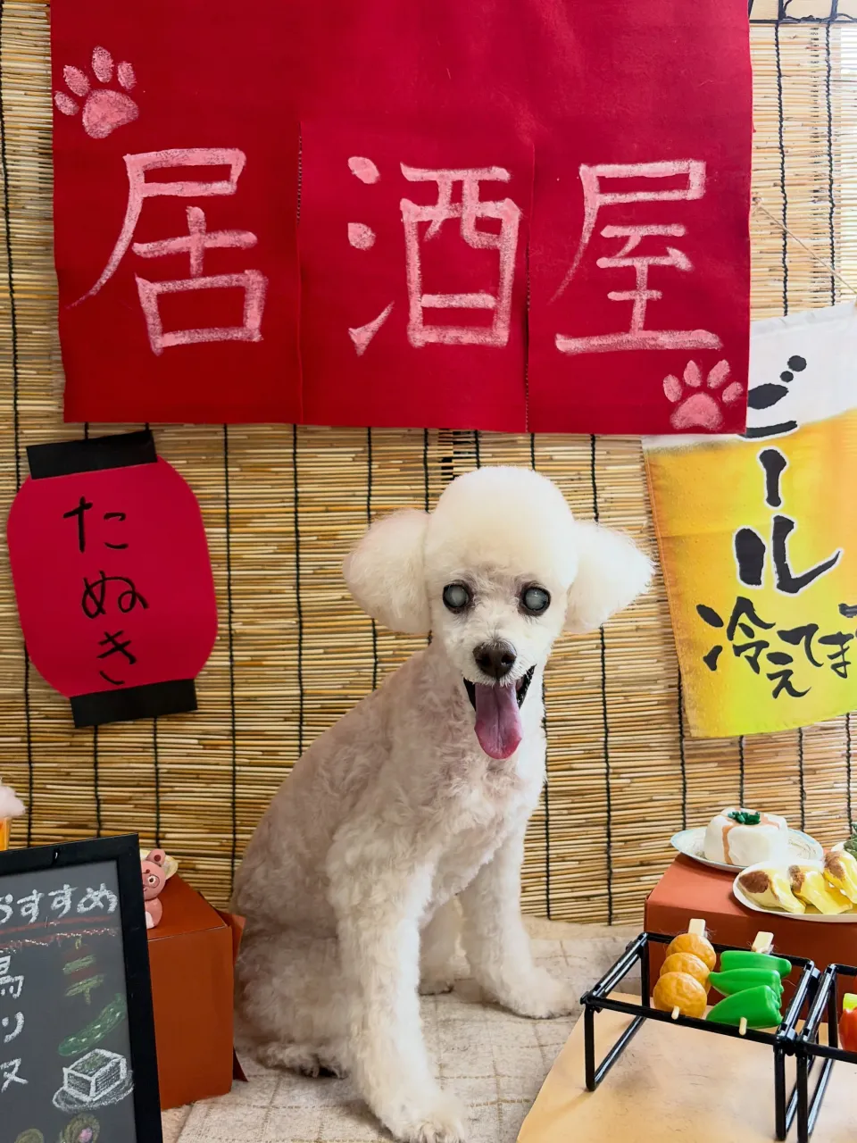 🍃9/13のトリミング🍃プードル🐶|名東区・千種区・守山区の...