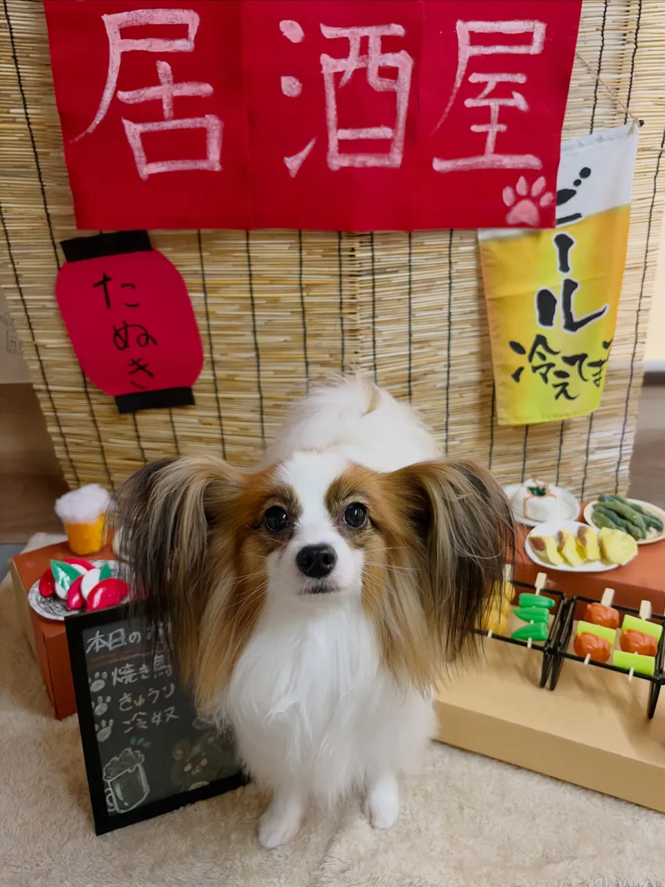 🍃9/13のトリミング🍃パピヨン🐶|名東区・千種区・守山区の...
