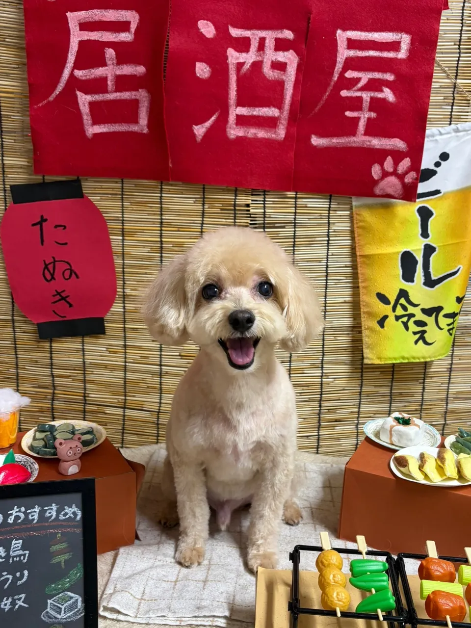 🍃9/13のトリミング🍃MIX犬🐶｜名東区・千種区・守山区の...