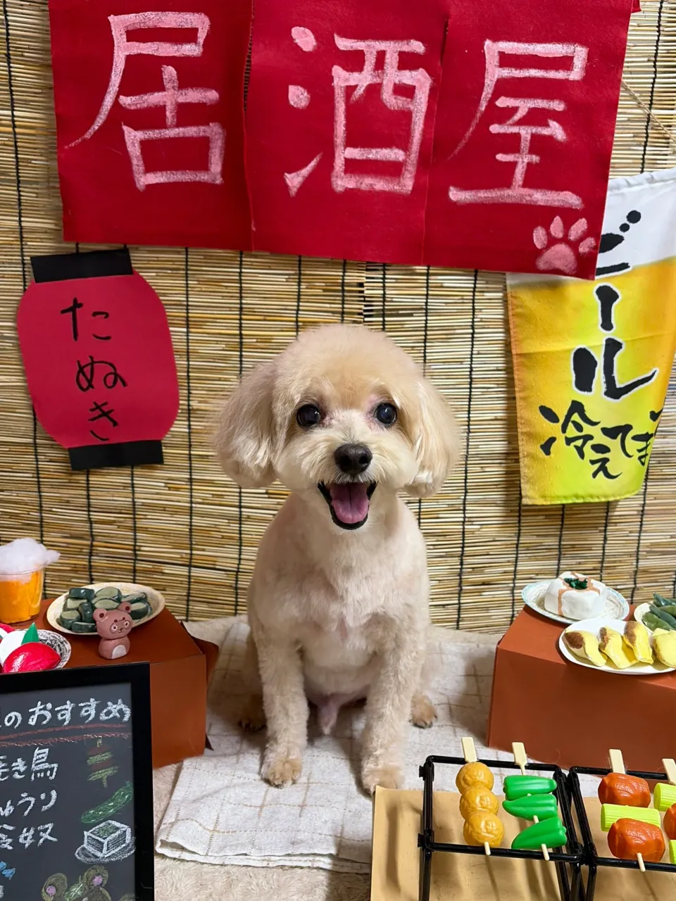 🍃9/13のトリミング🍃MIX犬🐶｜名東区・千種区・守山区の...