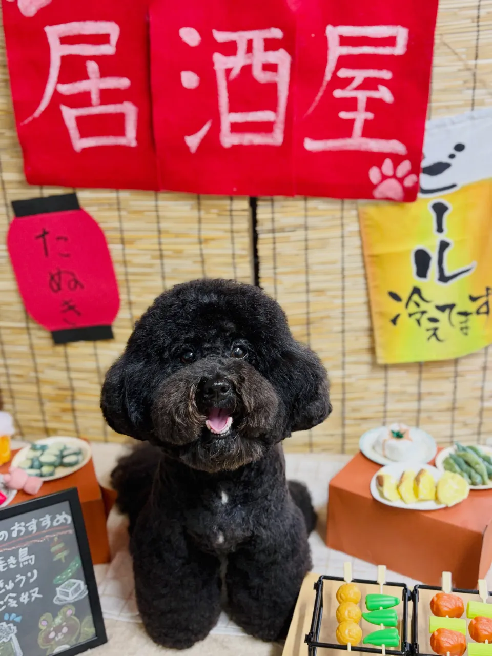 🍃9/14のトリミング🍃ミックス犬🐶｜名東区・千種区・守山区...