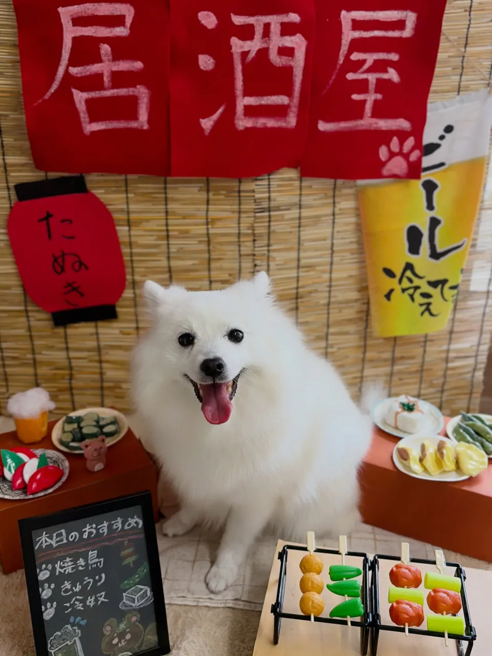 🍃9/14のトリミング🍃スピッツ🐶｜名東区・千種区・守山区の...
