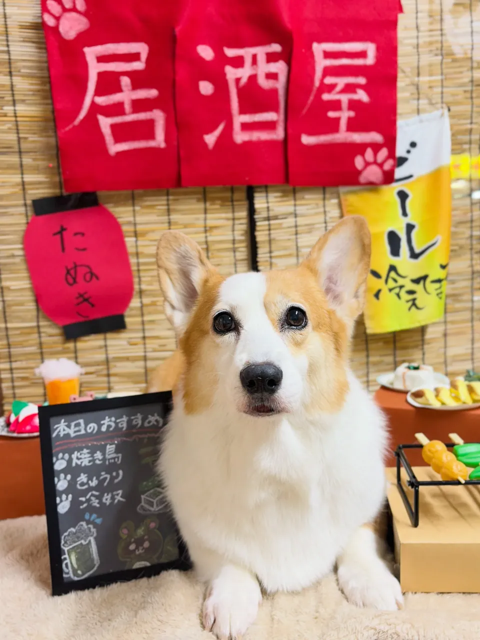 🍃9/14のトリミング🍃コーギー🐶｜名東区・千種区・守山区の...