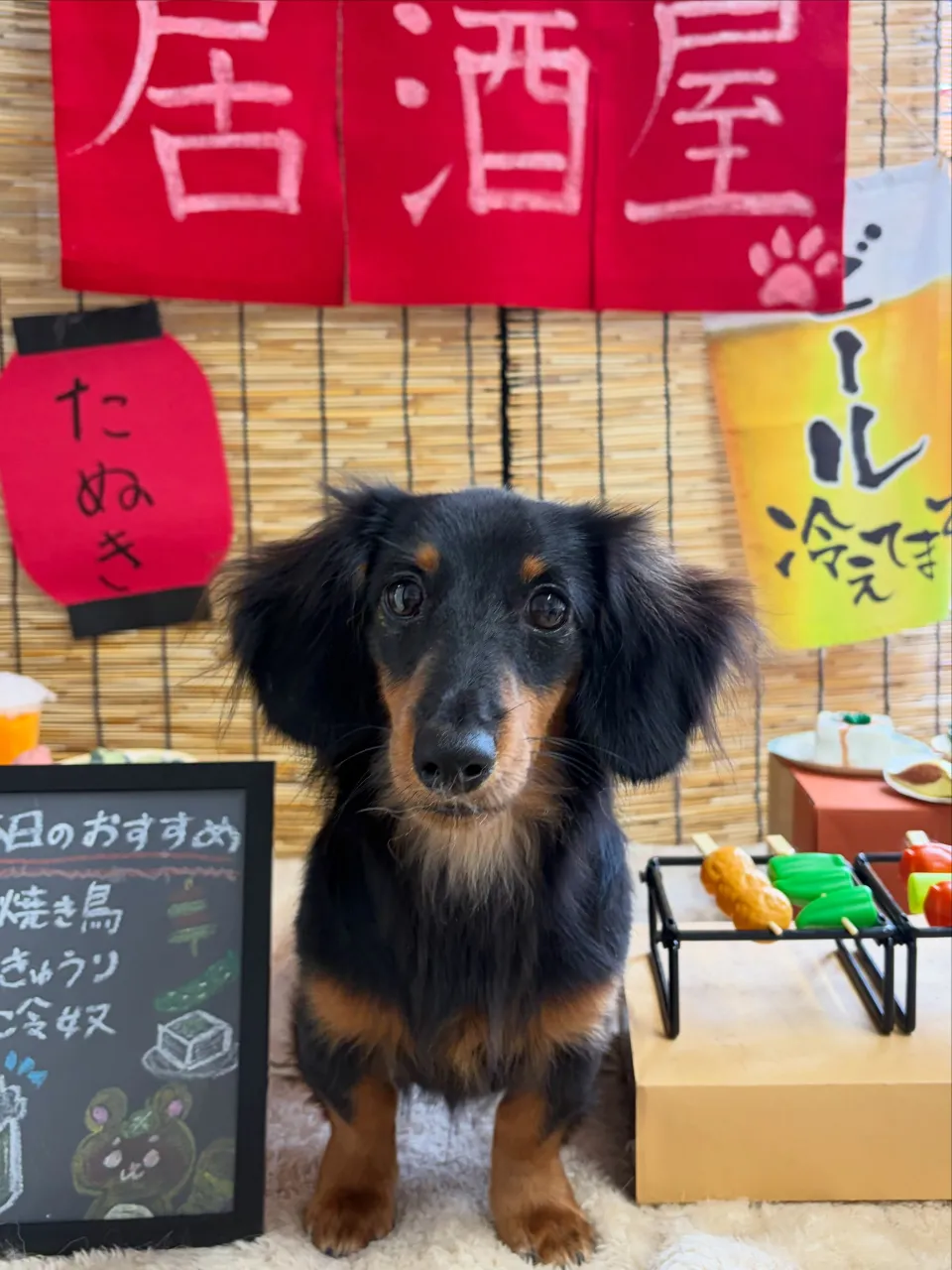 🍃9/15のトリミング🍃ダックス🐶｜名東区・千種区・守山区の...