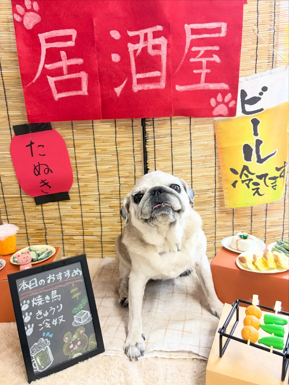 🍃9/16のトリミング🍃パグ🐶|名東区・千種区・守山区の動物...
