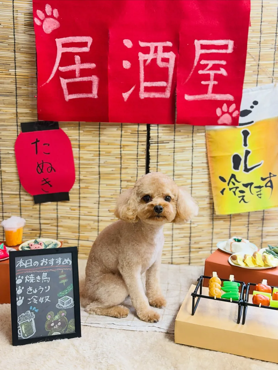 🍃9/16のトリミング🍃プードル🐶チワワ🐶|名東区・千種区・...