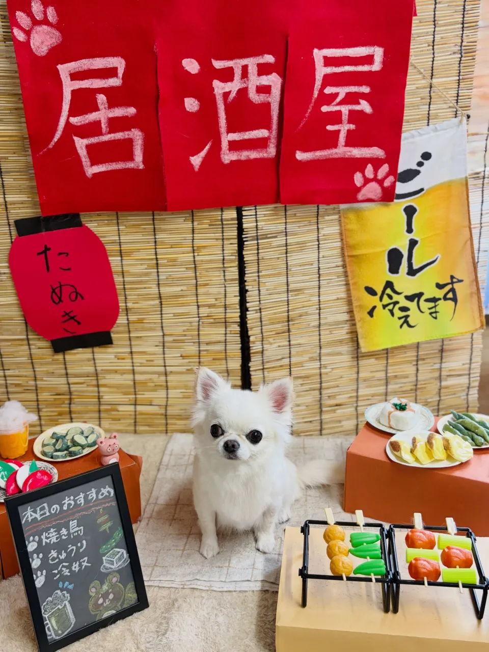 🍃9/16のトリミング🍃プードル🐶チワワ🐶|名東区・千種区・...