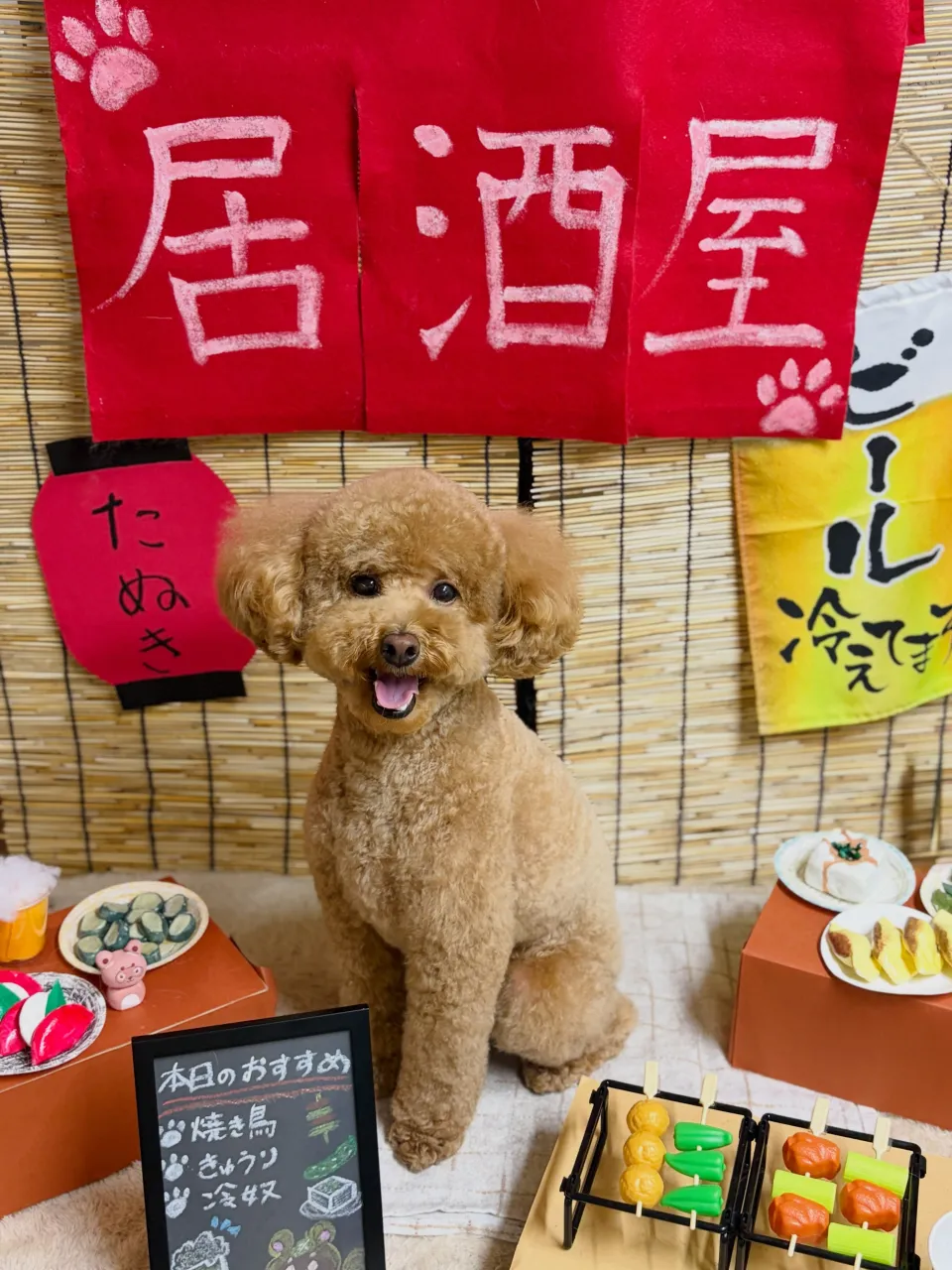 🍃9/16のトリミング🍃プードル🐶|名東区・千種区・守山区の...